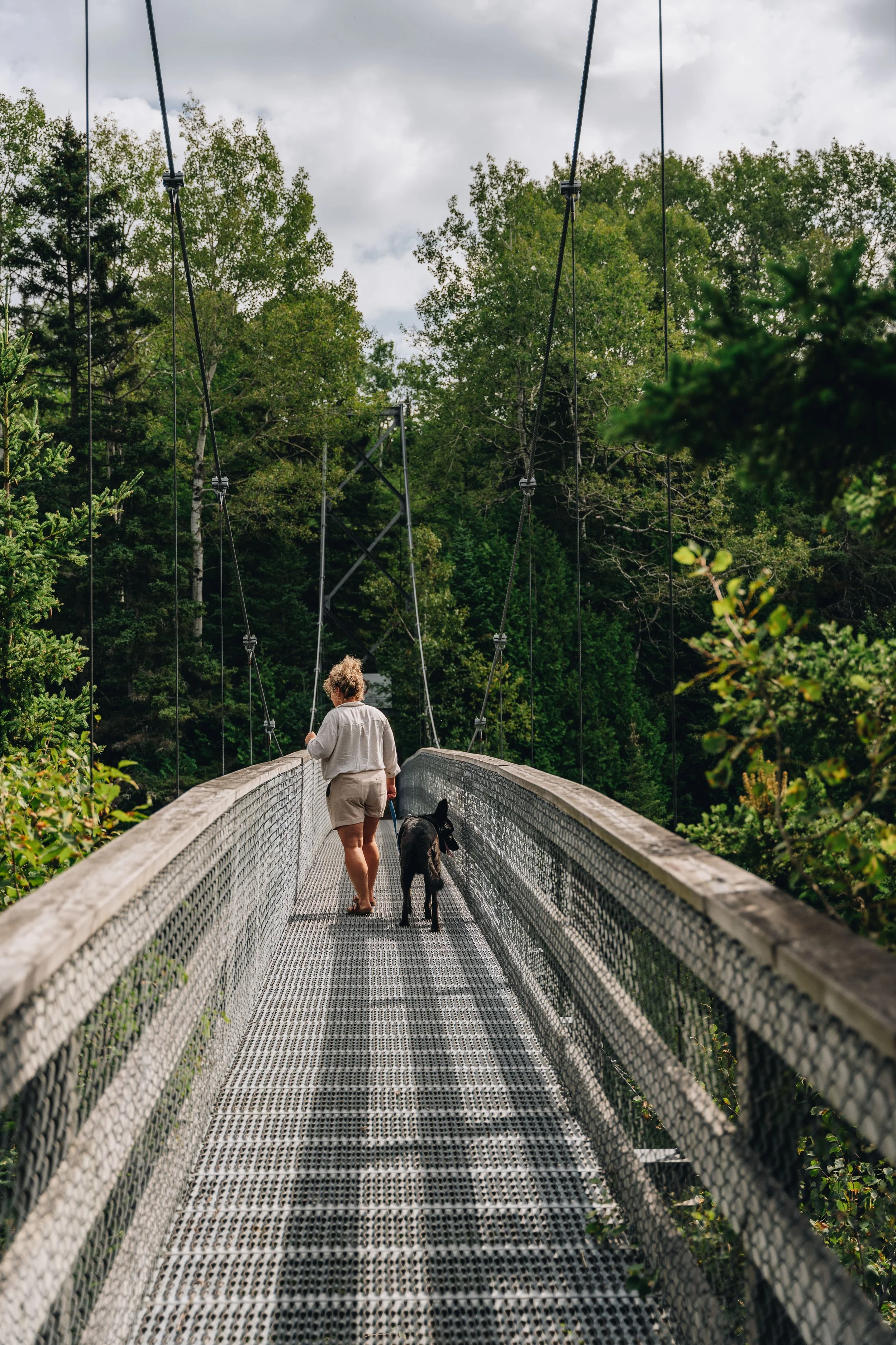 [BSL, Les Basques] Sentier National Bas-Saint-Laurent, Passerelle des Basques