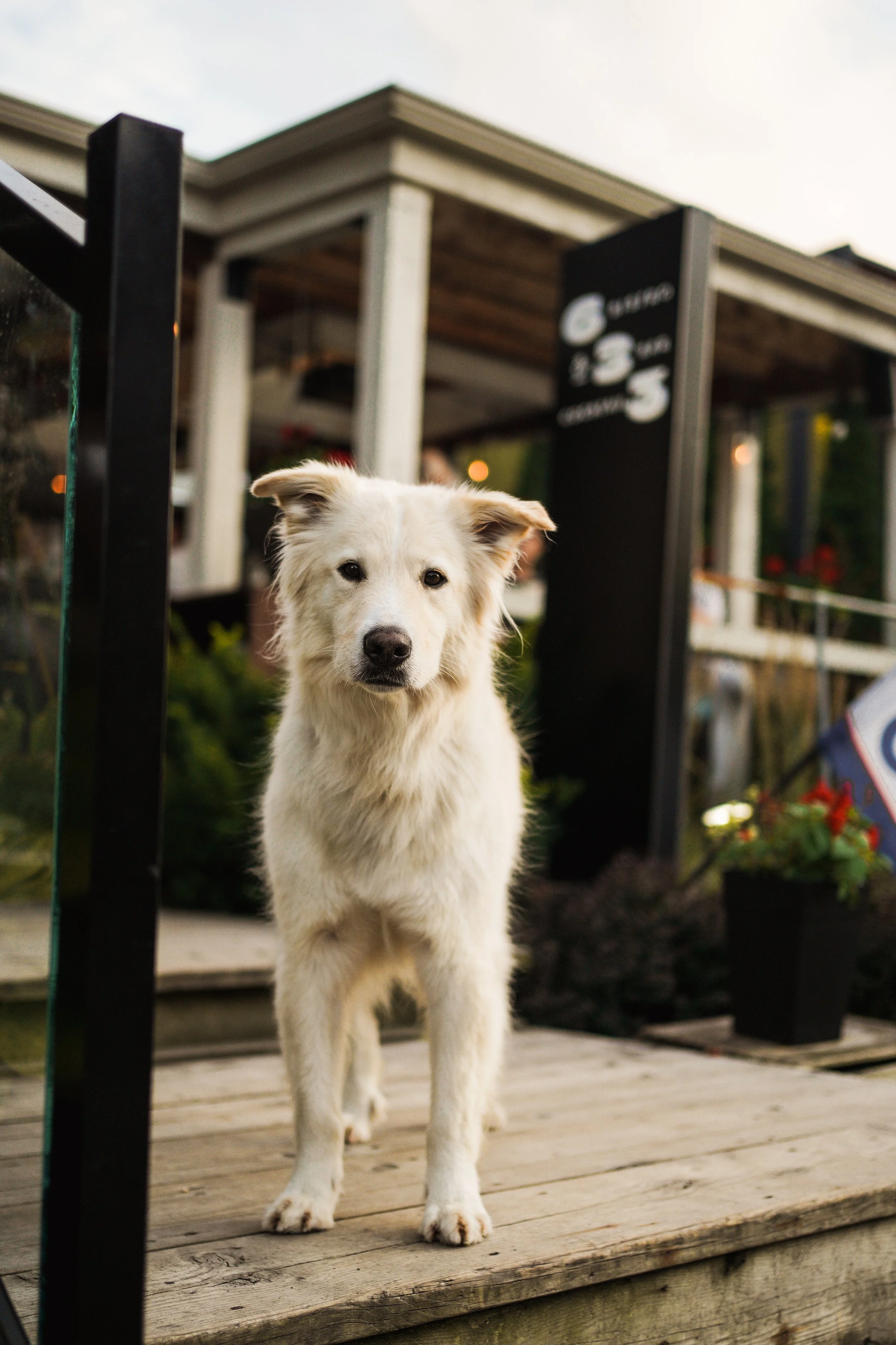 [Estrie, Bromont] Bistro 633