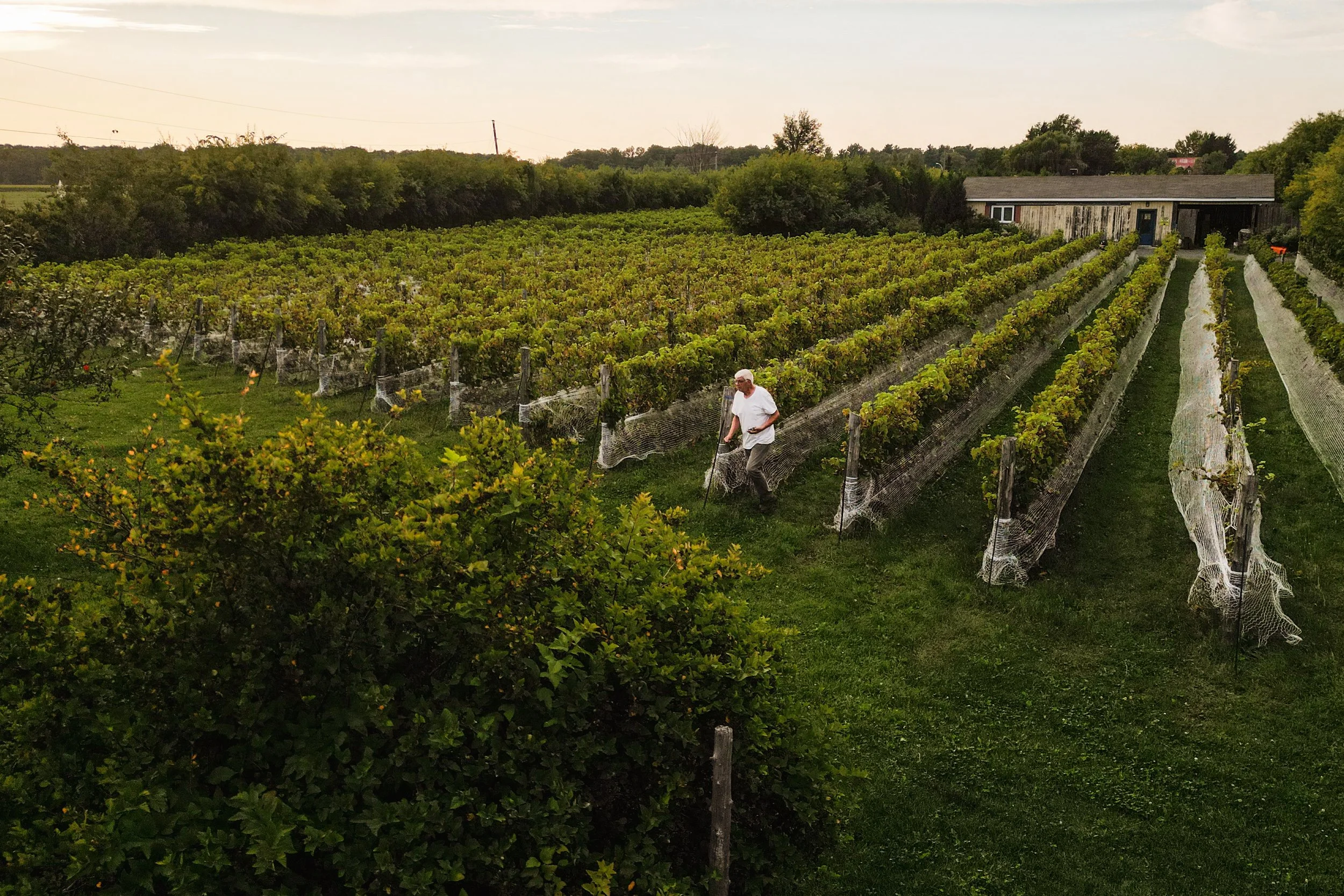 [Montérégie, Mont Saint-Hilaire] Vignoble La Grande Allée