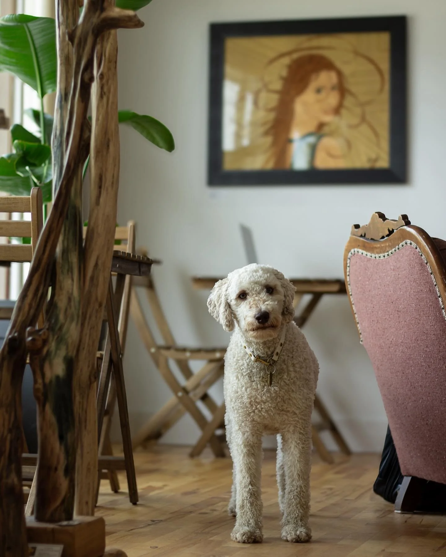 [Mauricie, Saint-Paulin] Bois Café