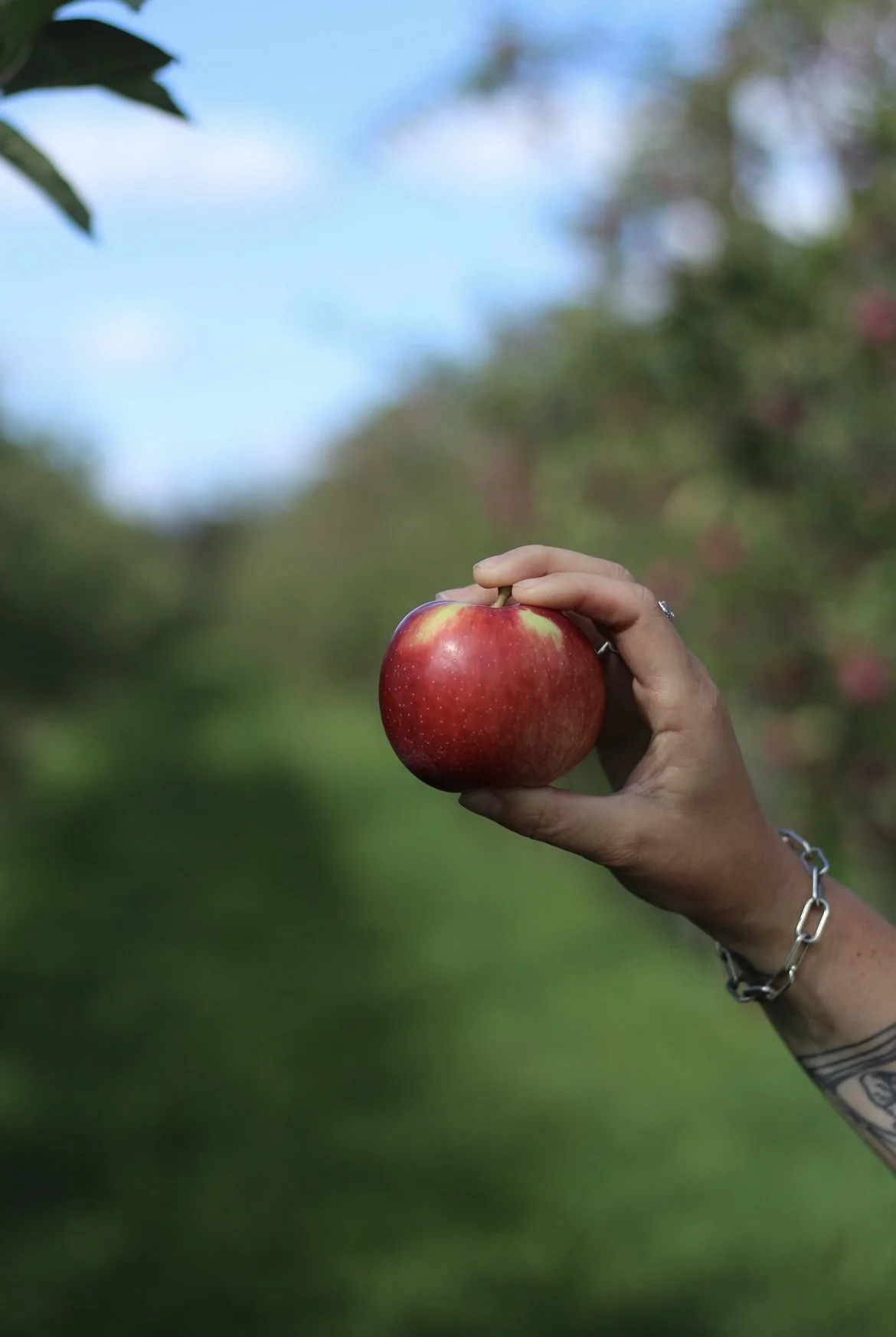 [Estrie, Compton] Verger Le Gros Pierre