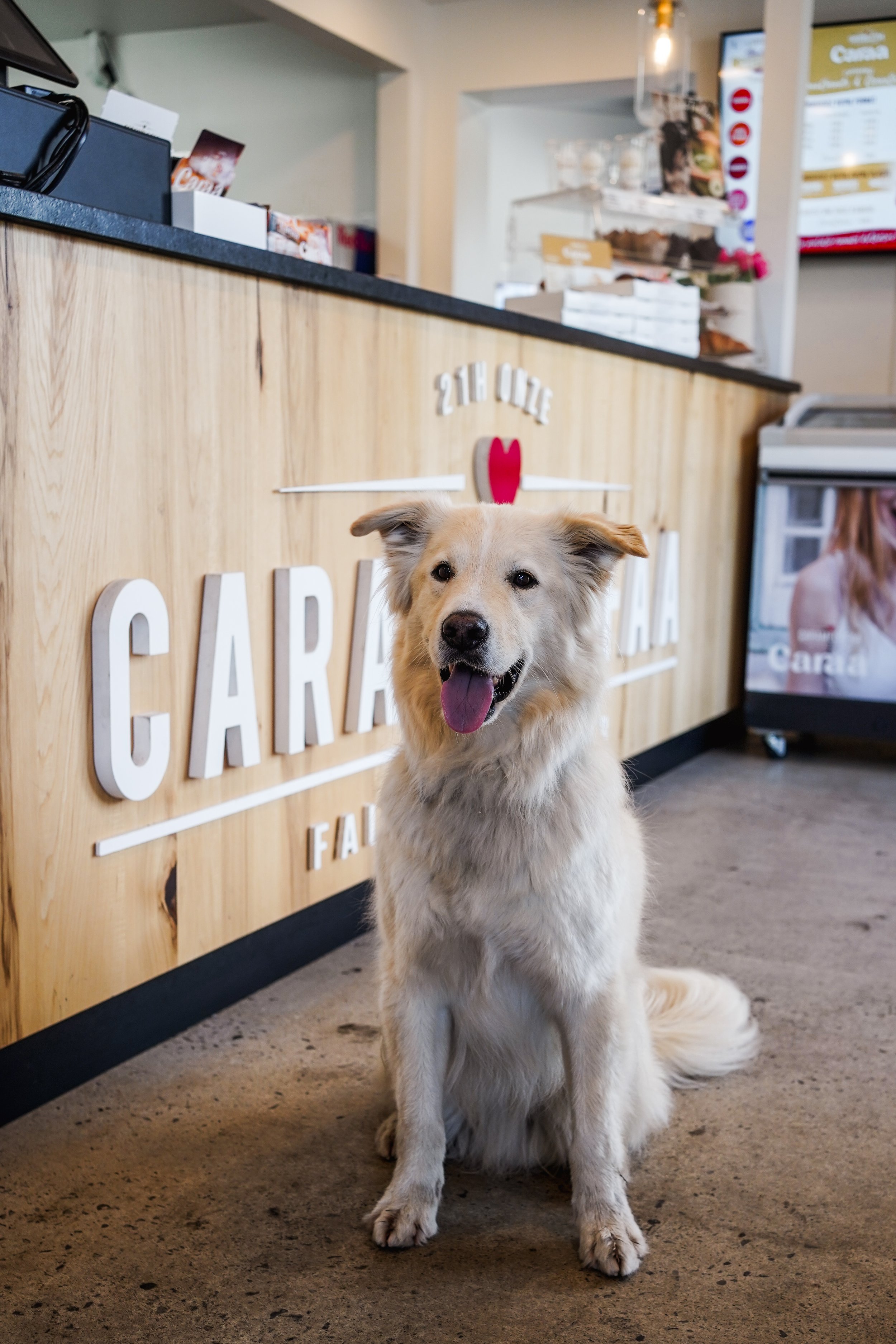 caramel fa_onvasepromener (8).jpeg
