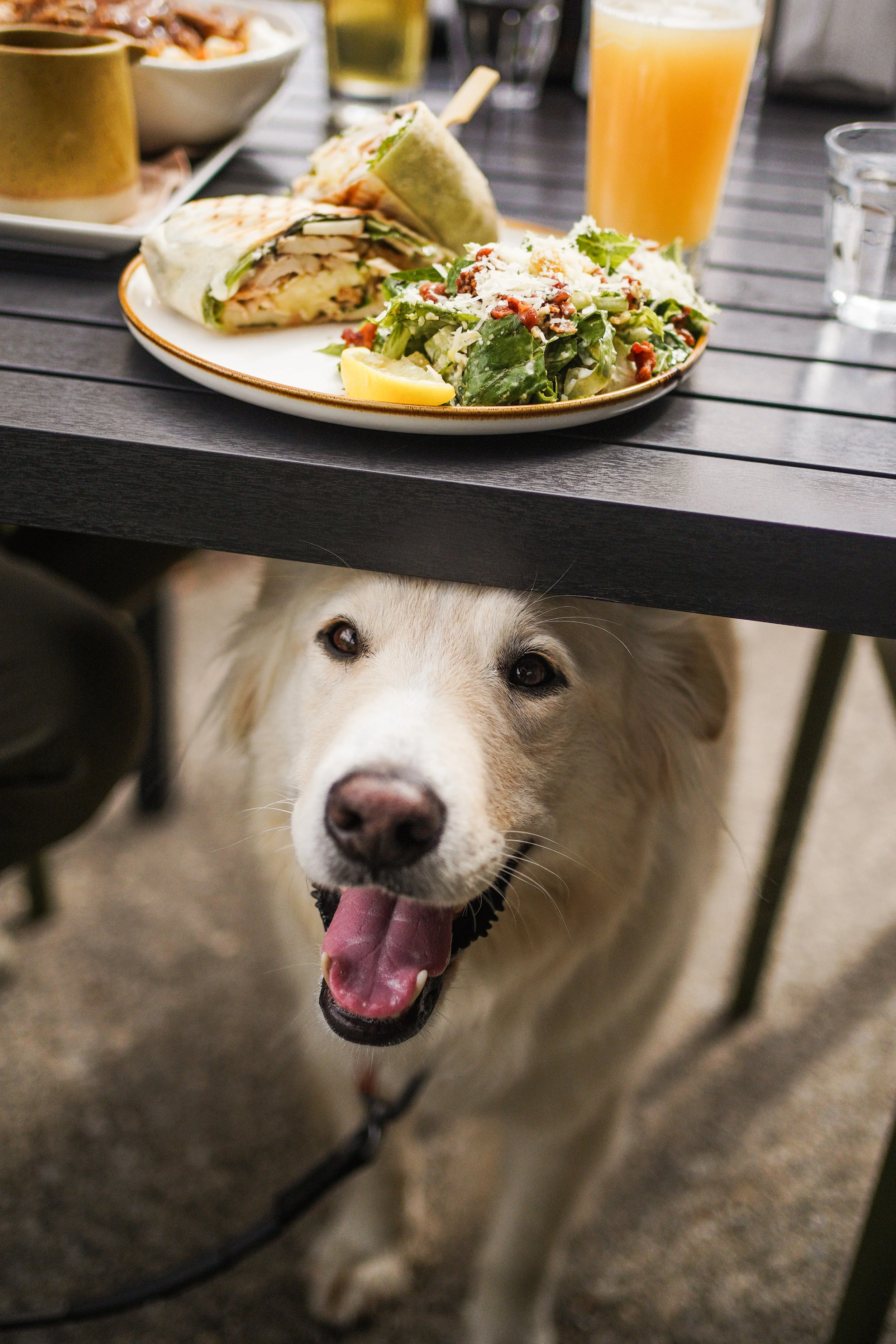 [Estrie, Bromont] Brasserie À l'Abordage