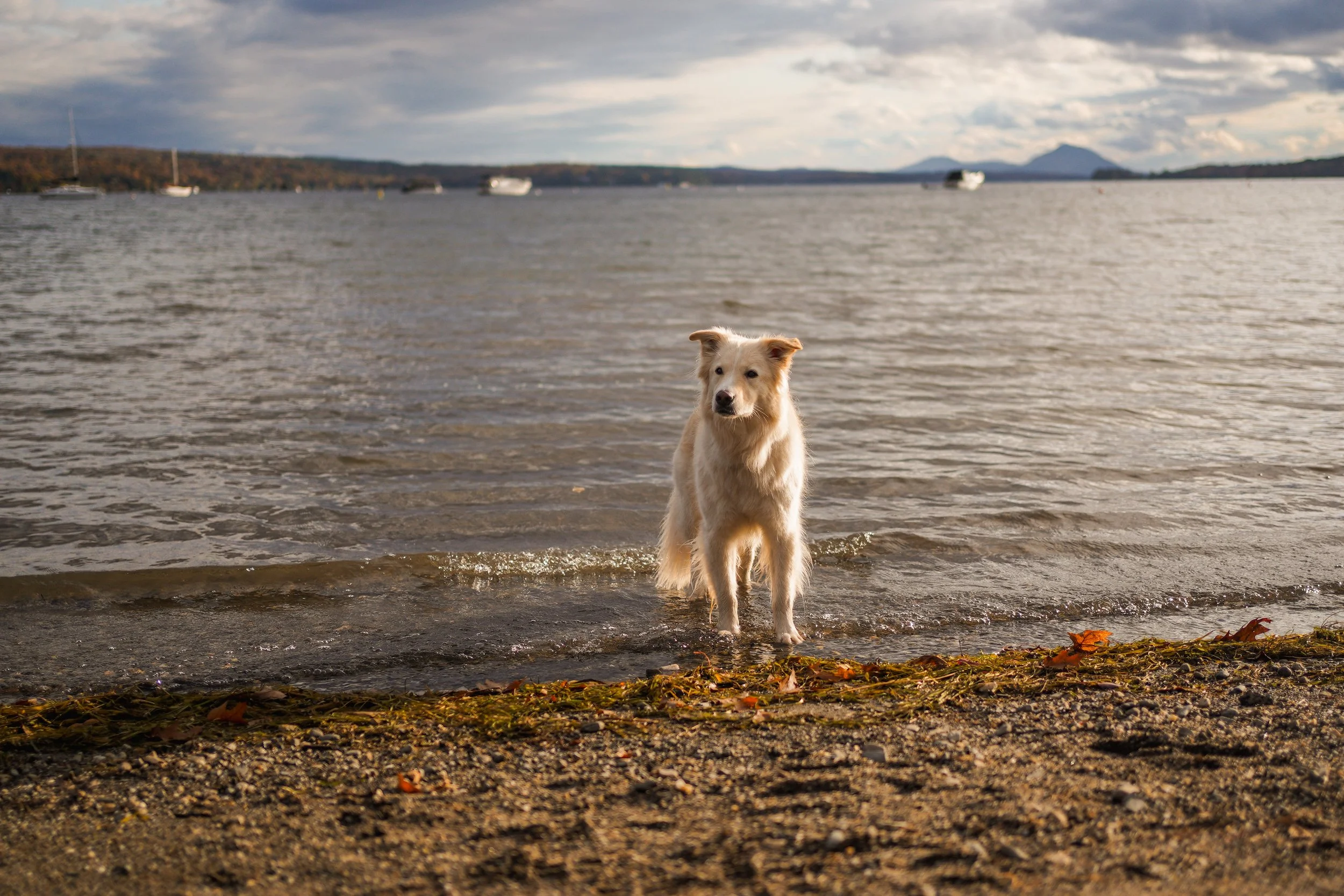 [Estrie, Magog] Plage des cantons 