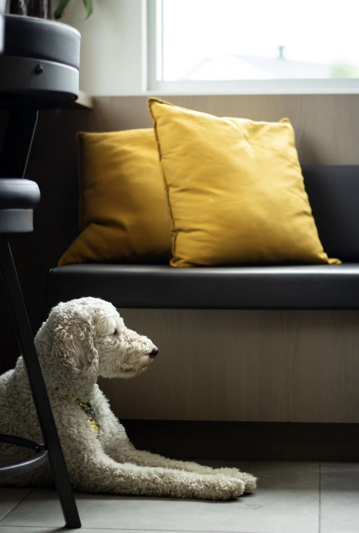 [Mauricie, Saint-Maurice] La Tribu - Café Gourmet