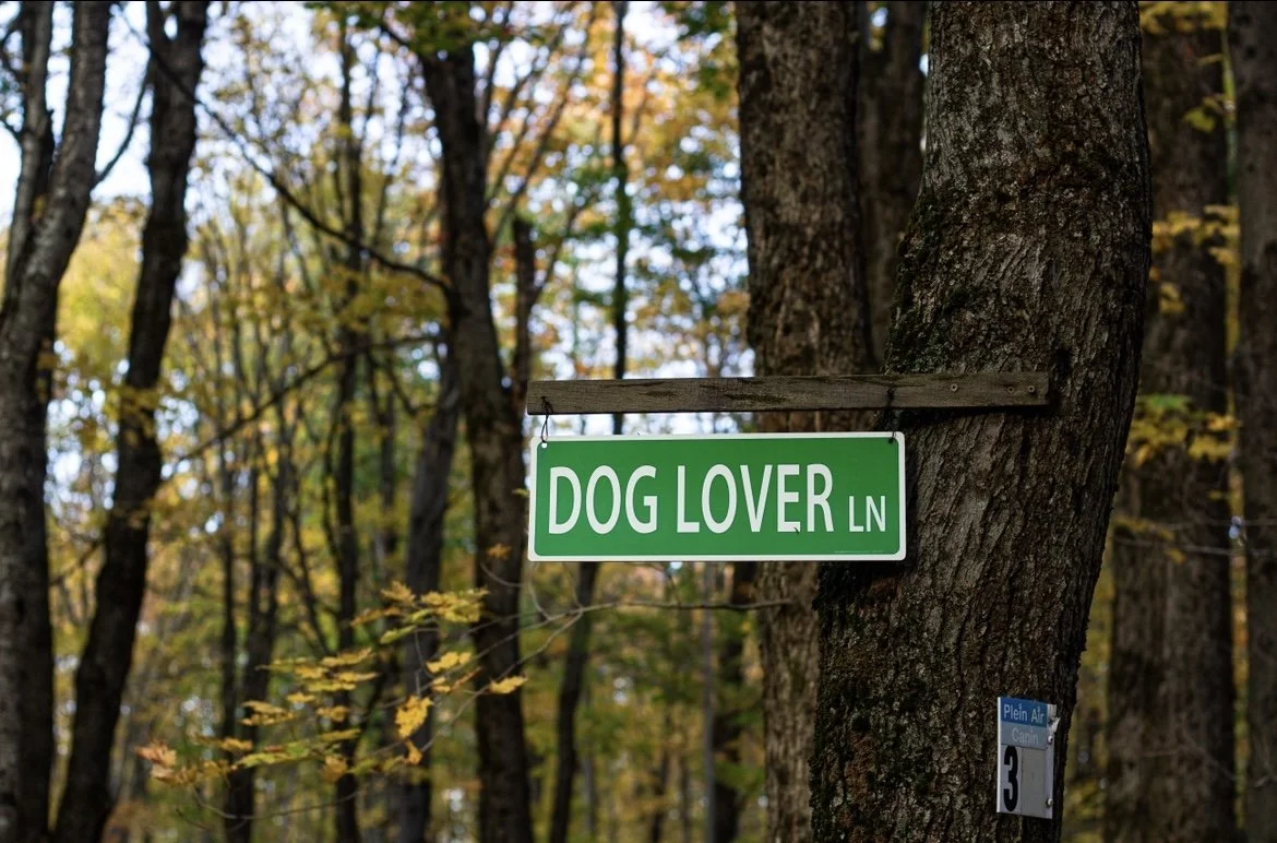 [Chaud.-Appalaches, Saint-Nicolas] Plein air canin