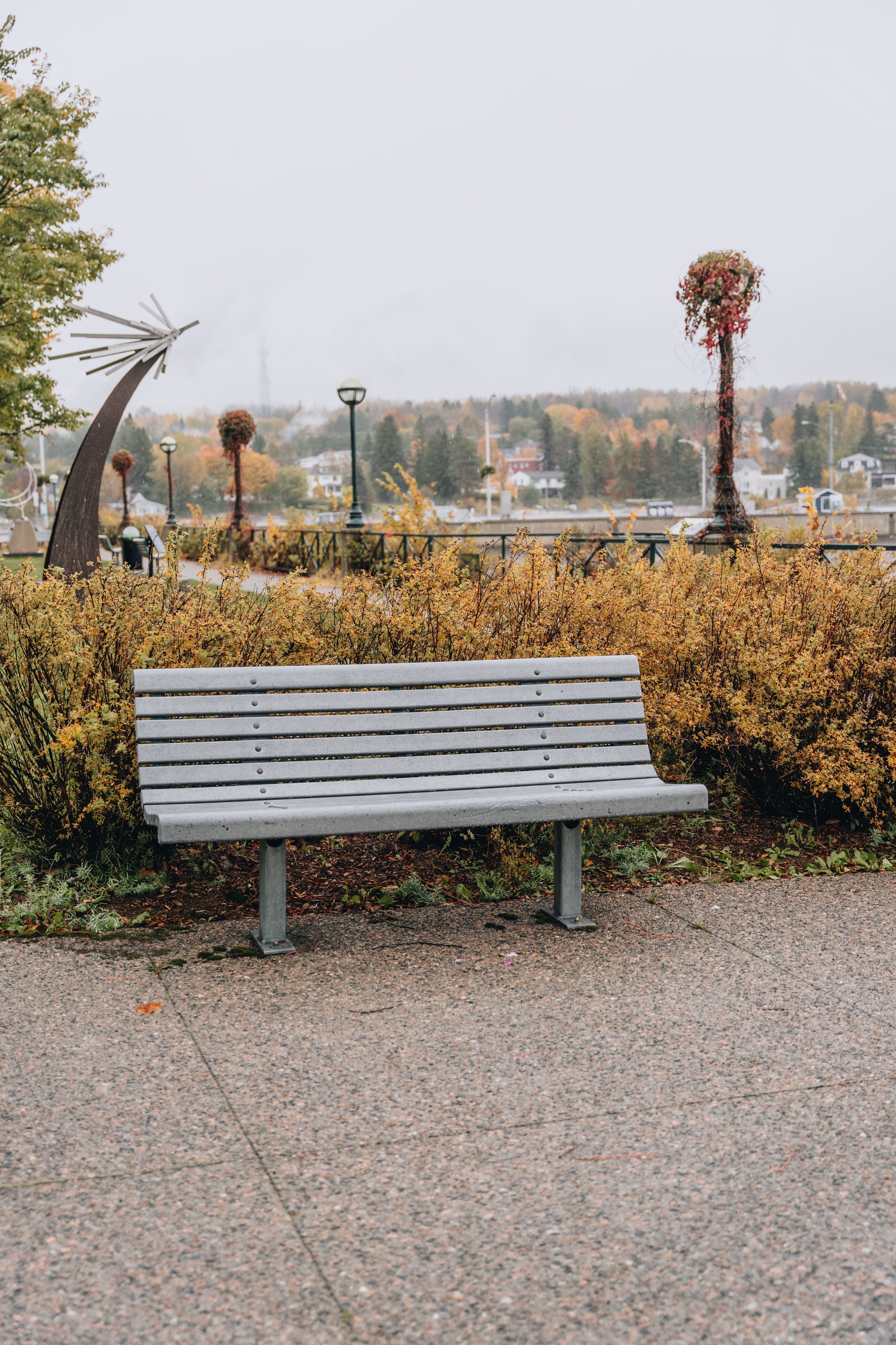 parc des vétérans_onvasepromener_marina_plage_chien (13).jpg