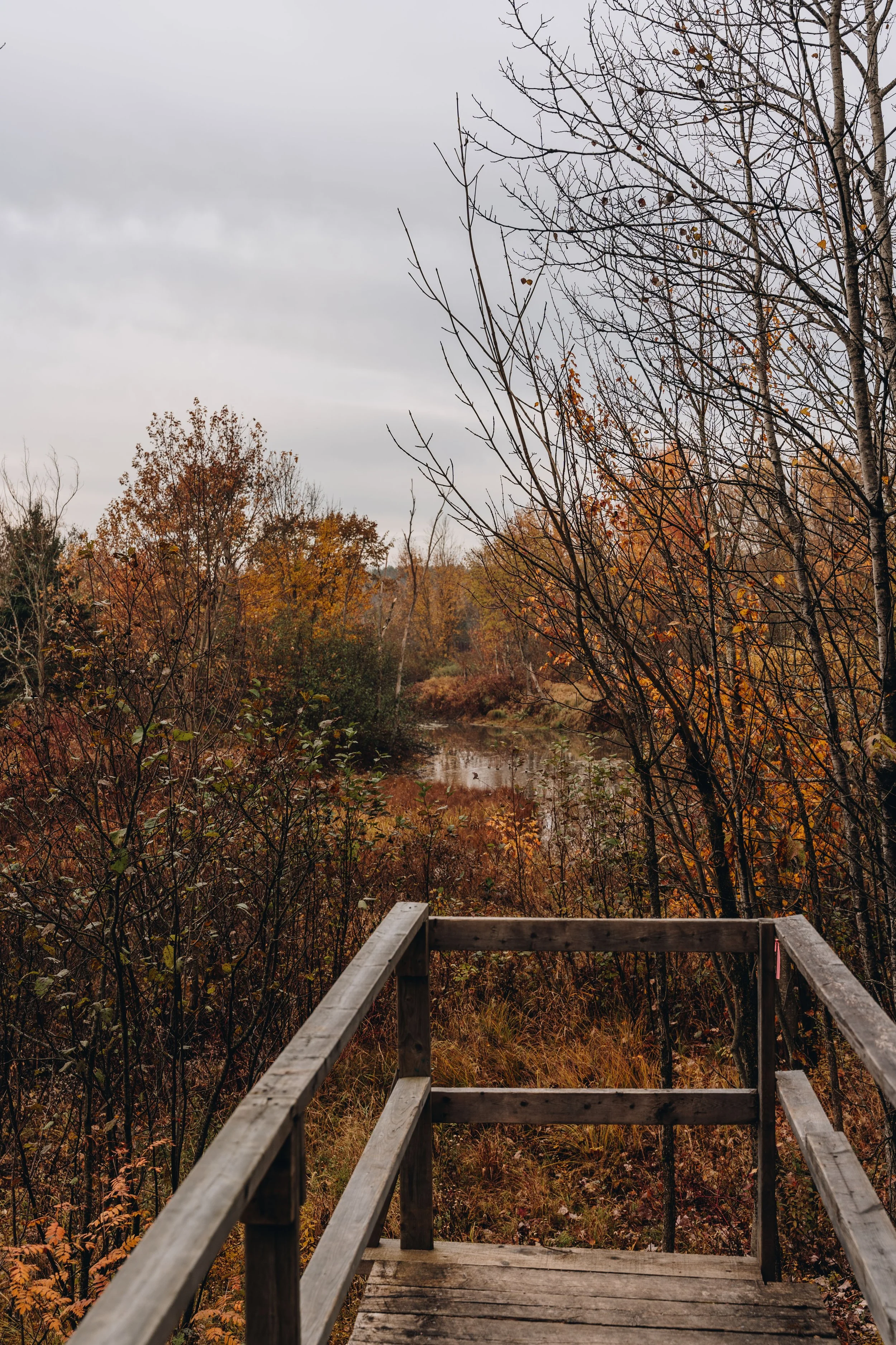 [Québec, Saint-Raymond] Parc riverain de la Sainte-Anne — On va se ...