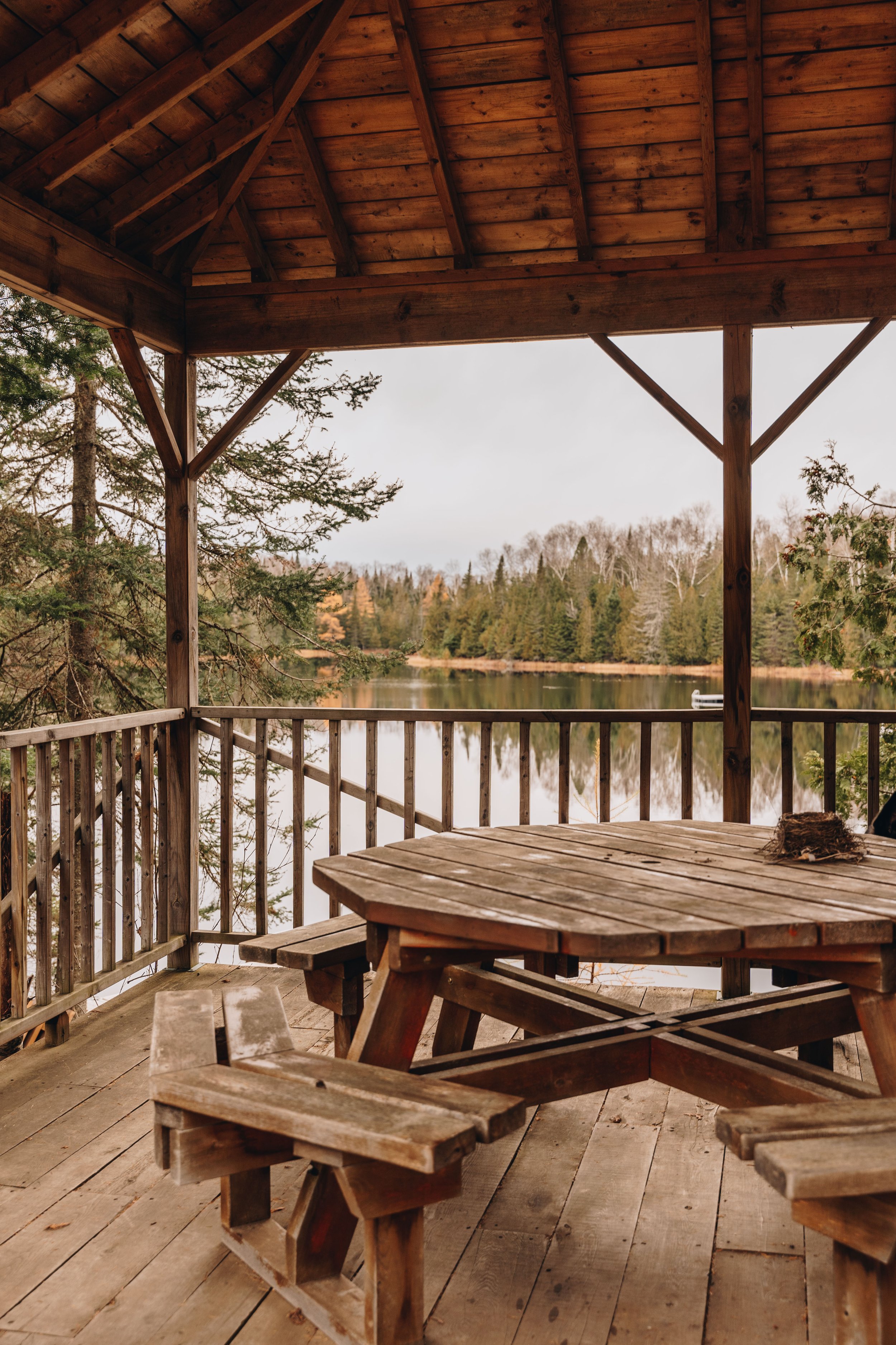 lièvre rouge chalet onvasepromener chien laurentides (19).jpg