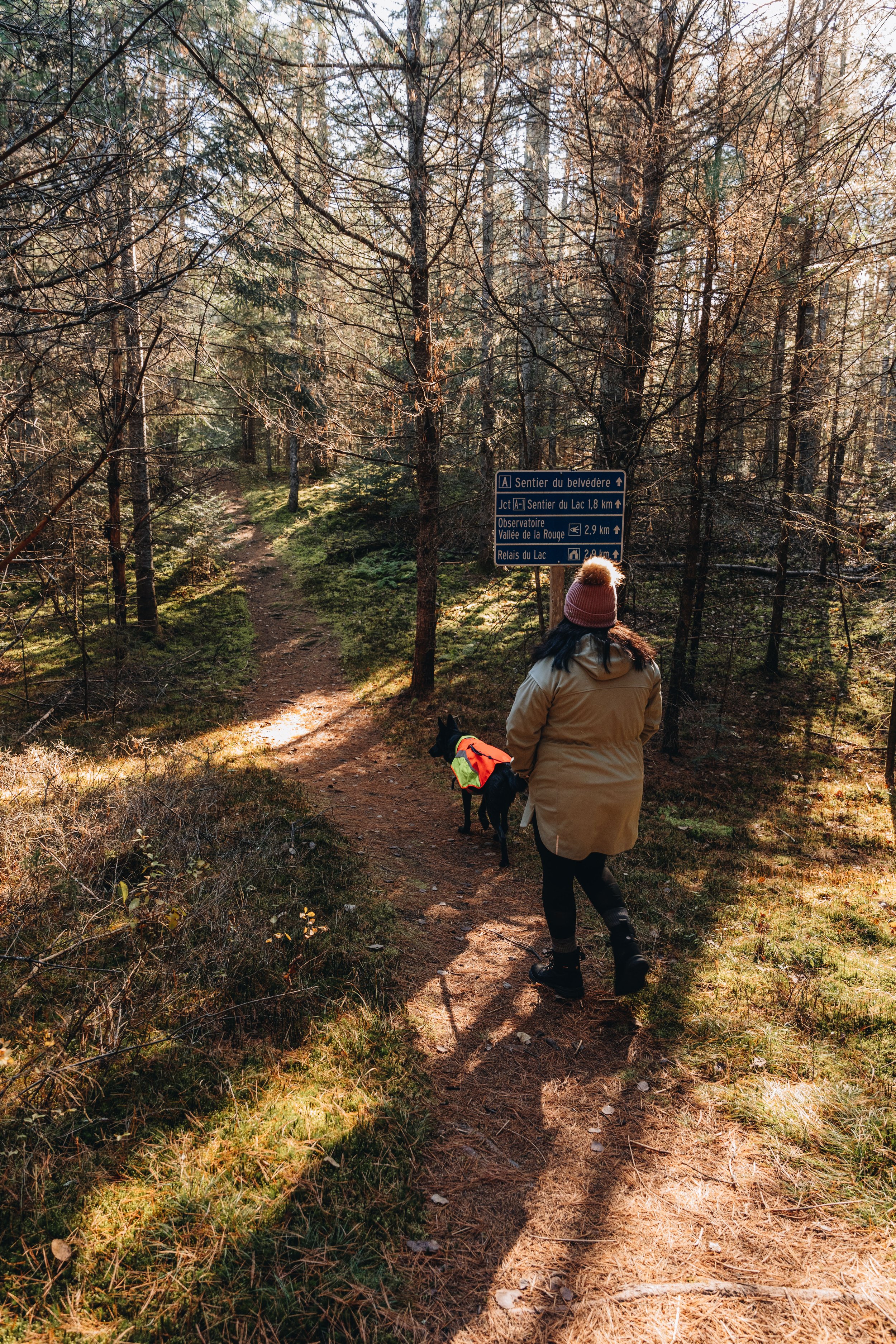 parc de la source onvasepromener sentier chien laurentides (15).jpg