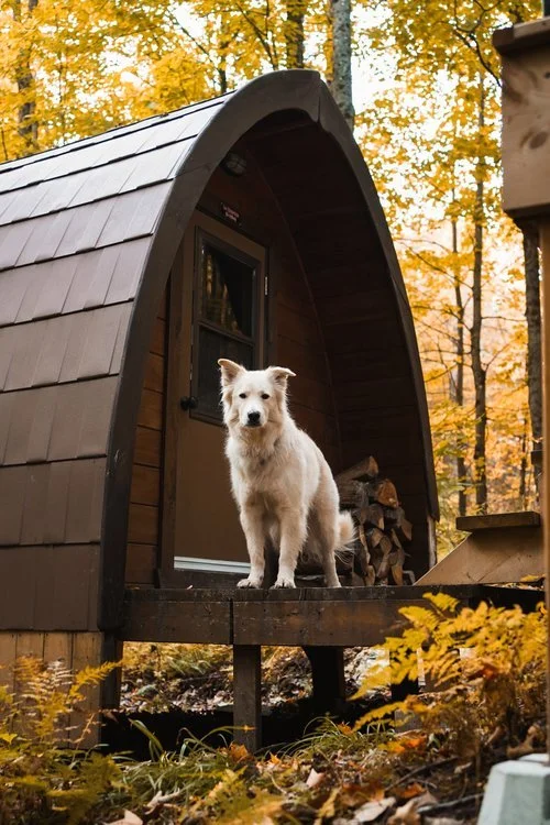 Station du Chêne rouge