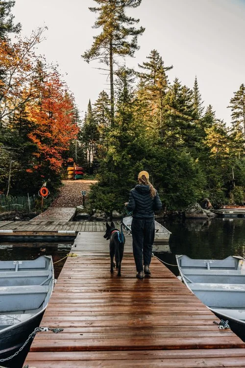 Les refuges perchés