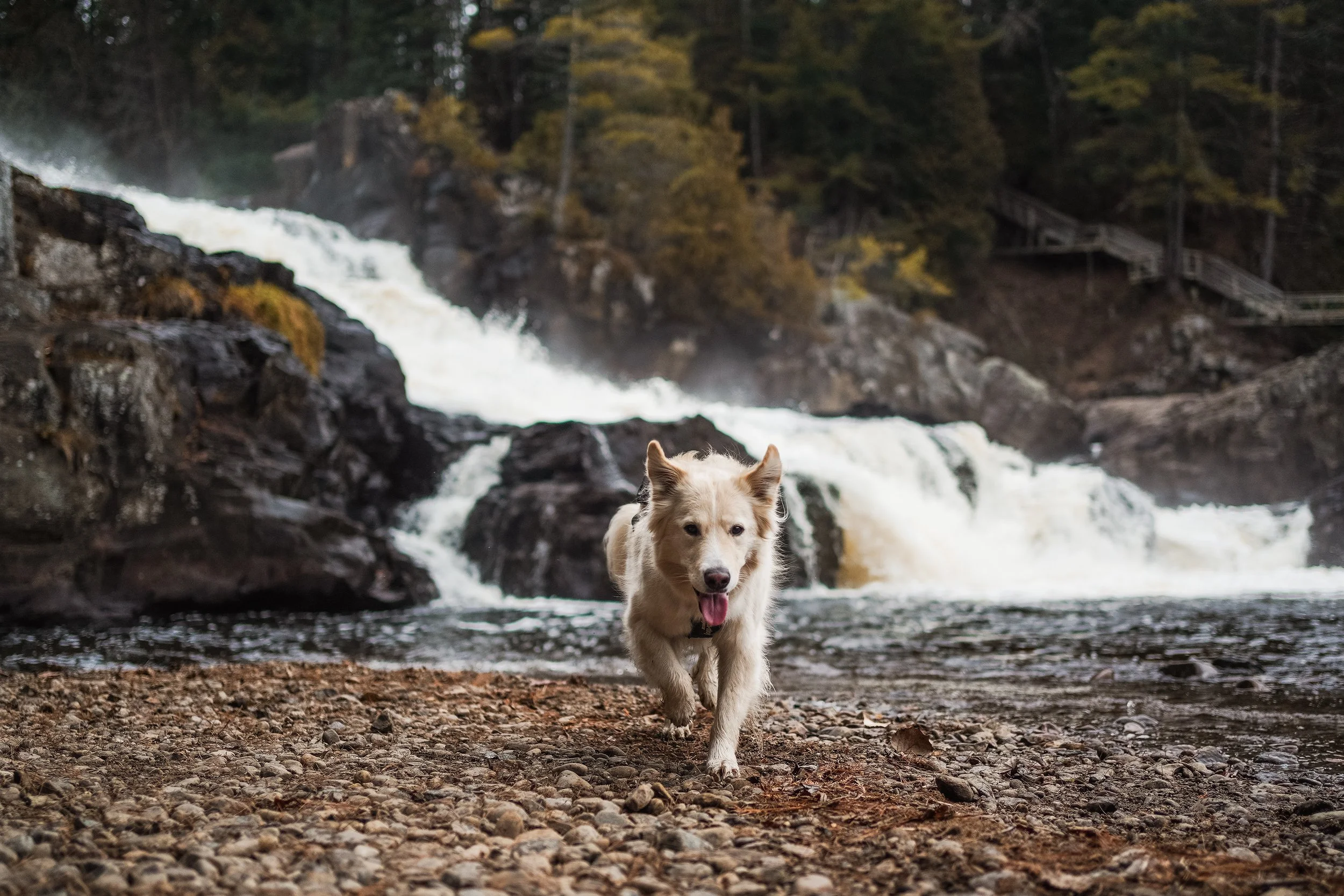 [Lanaudière, Saint-Jean-de-Matha] Chutes Monte-à-peine et des dalles