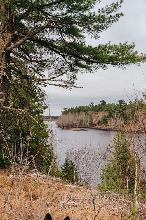 Iron Bound Cove Cabin