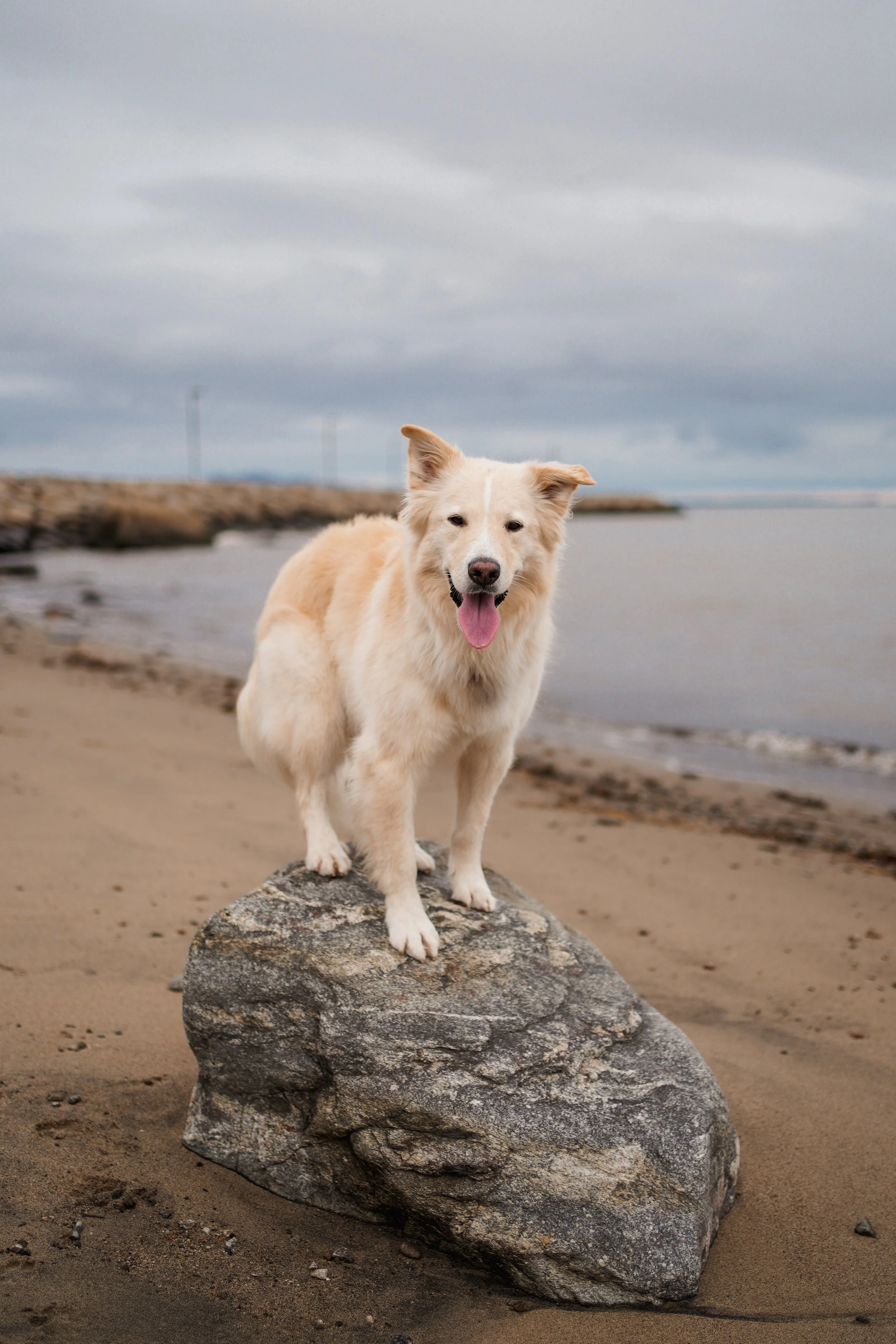 [Qc, Petite-Rivière-Saint-François] Parc des Riverains