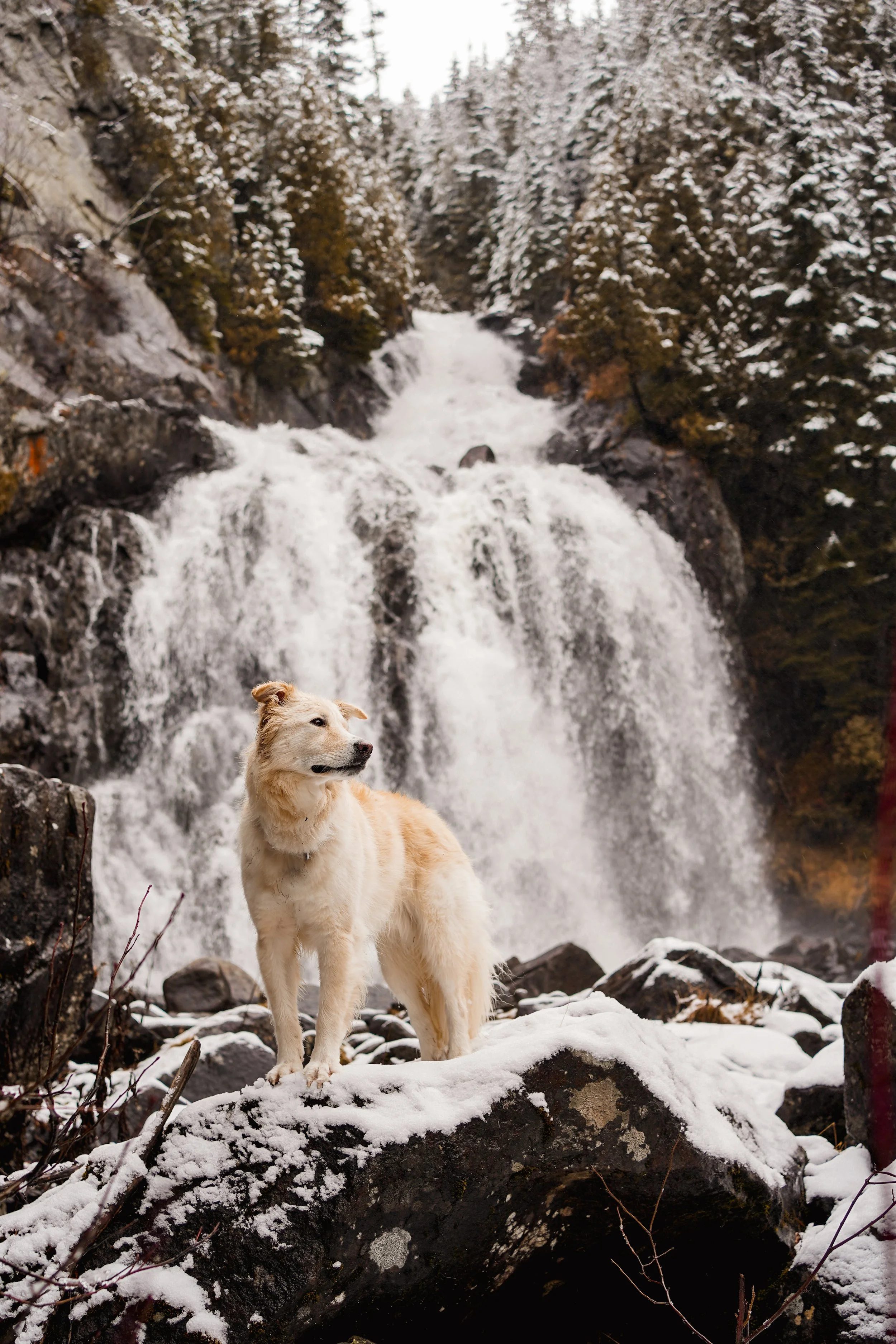 [Qc, Clermont] Zec du lac-au-Sable, Chute de la Gamelle