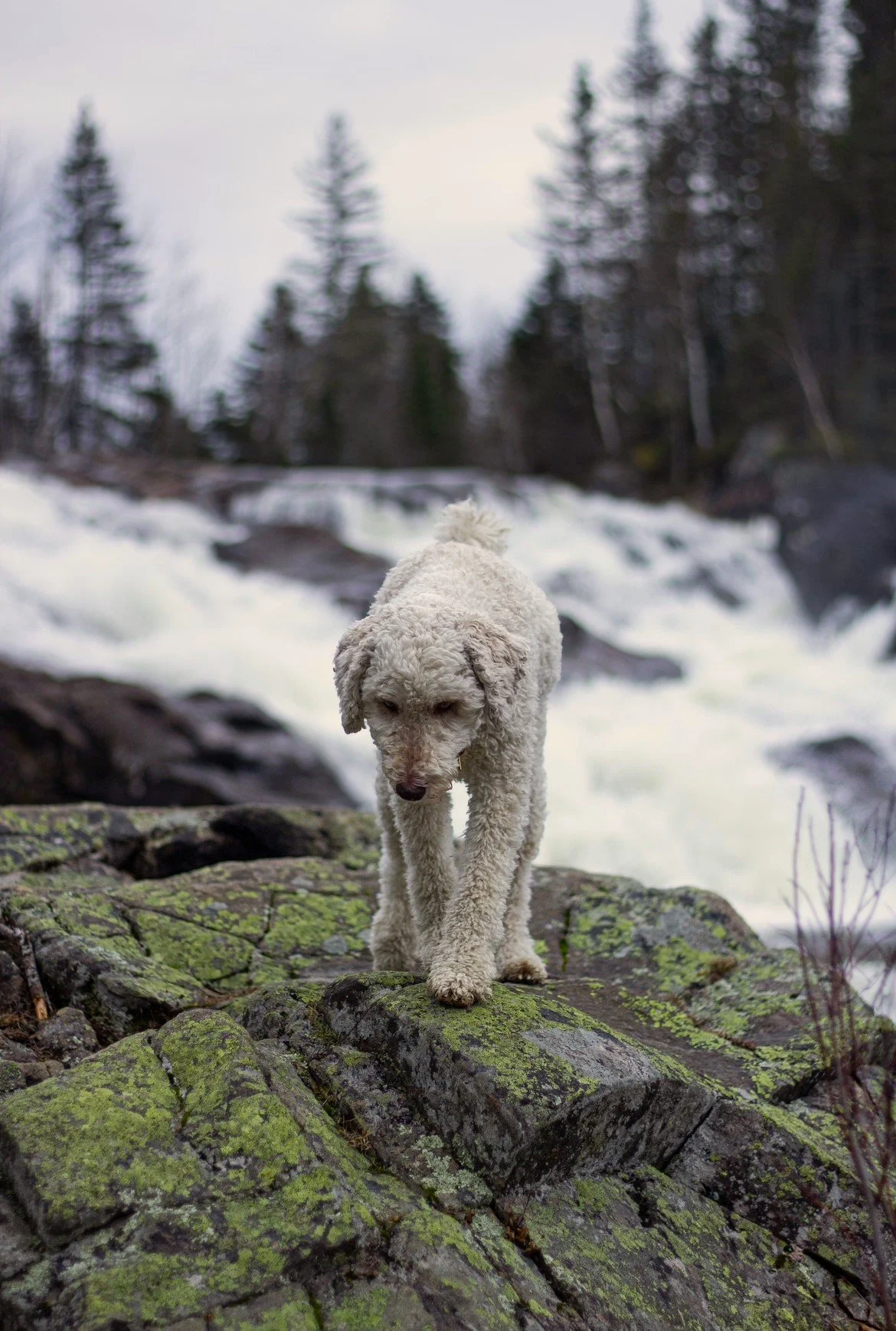 [Sag-Lac, Sagard] La chute à Sagard