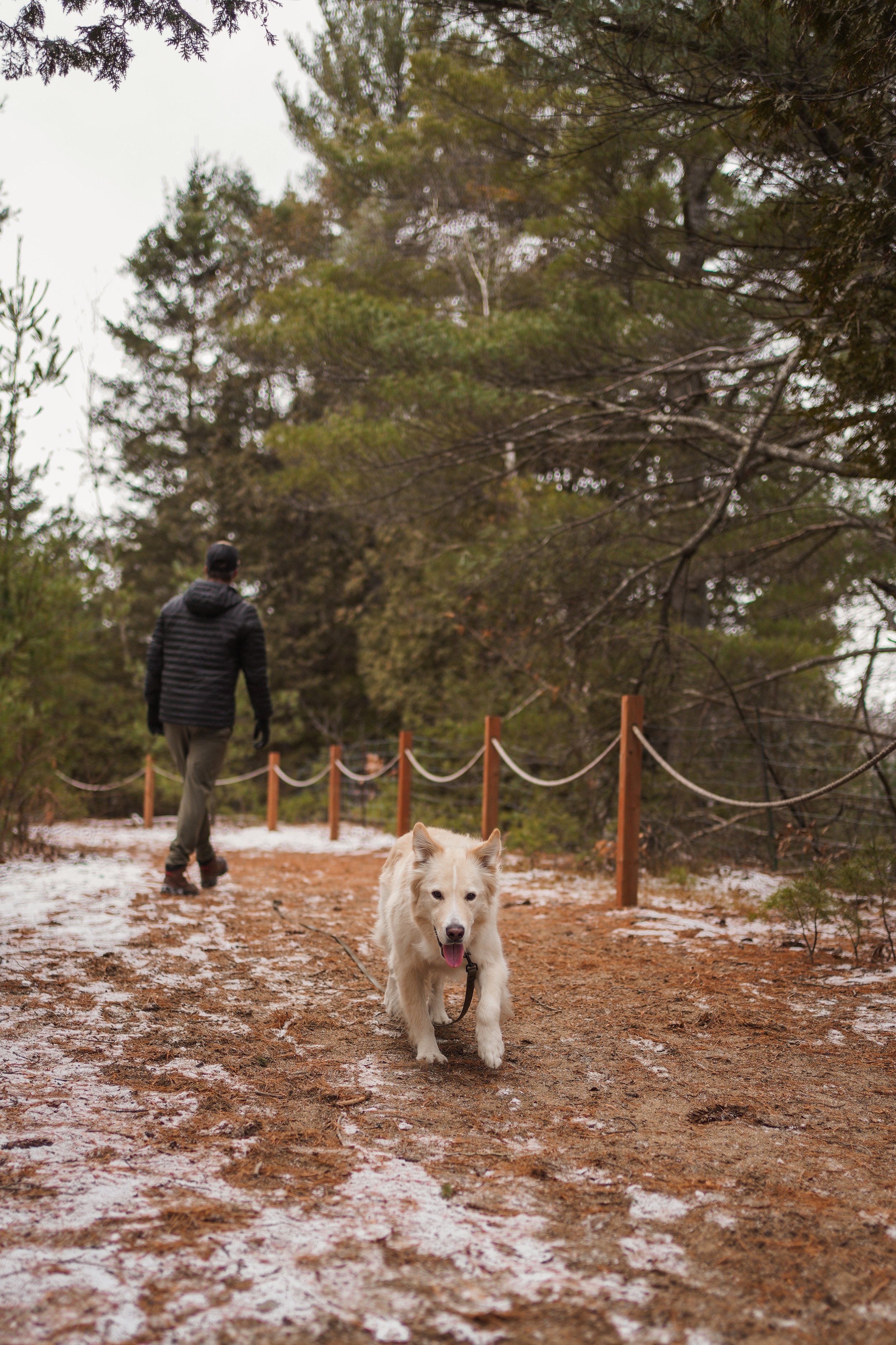 onthegowithcharlot_Sentiers-municipaux-Val-des-Bois_16.jpeg