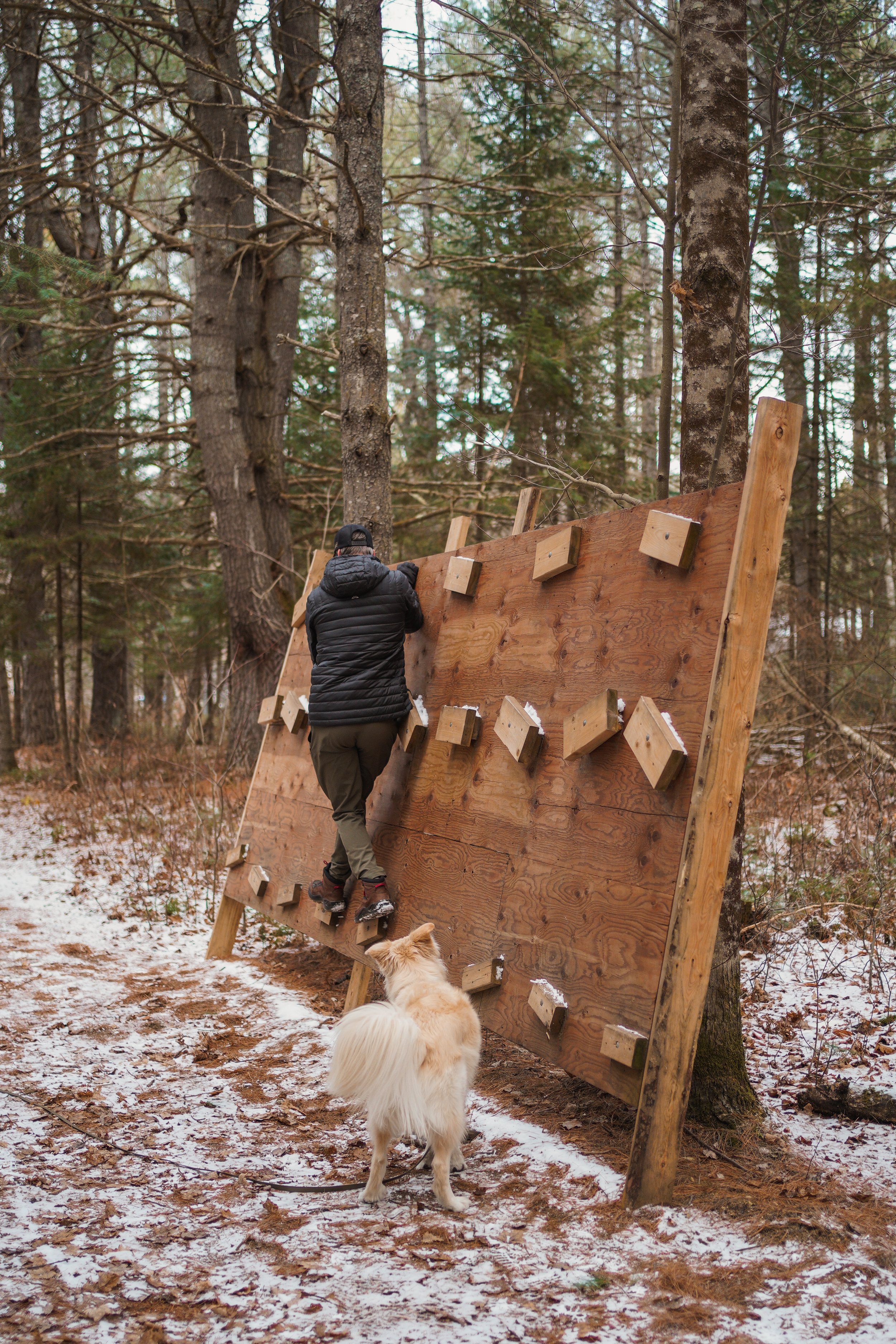 onthegowithcharlot_Sentiers-municipaux-Val-des-Bois_08.jpeg