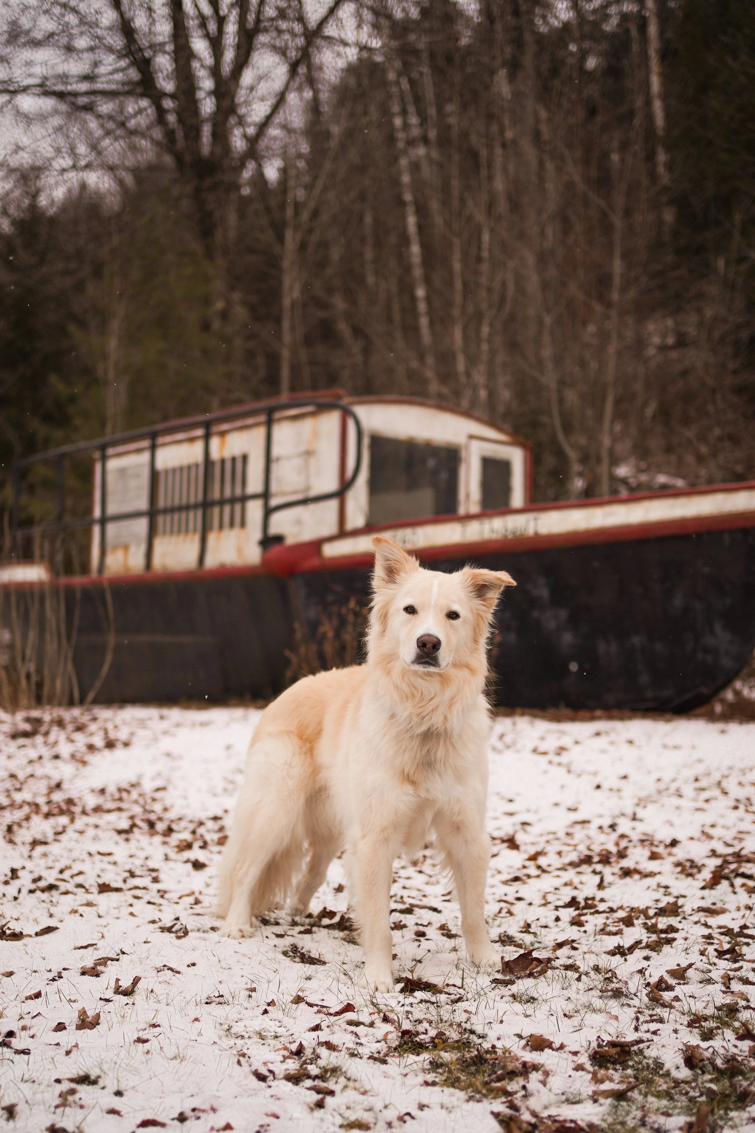 [Outaouais, Val-des-Bois] Halte routière de Val-des-Bois 