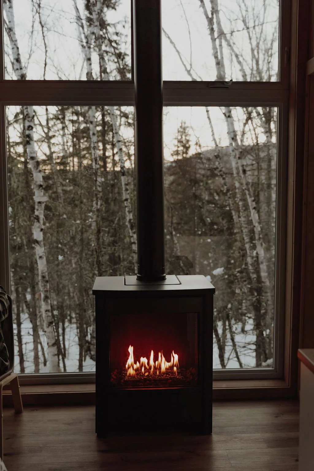 les tanières microchalets charlevoix onvasepromener chien (18).jpg