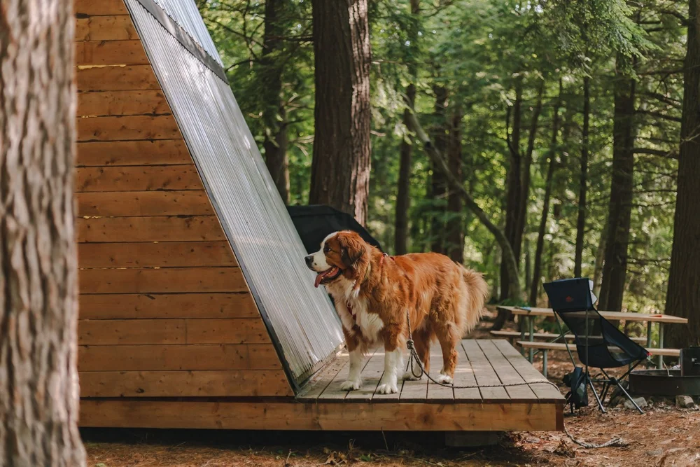 Camping de la Pointe 