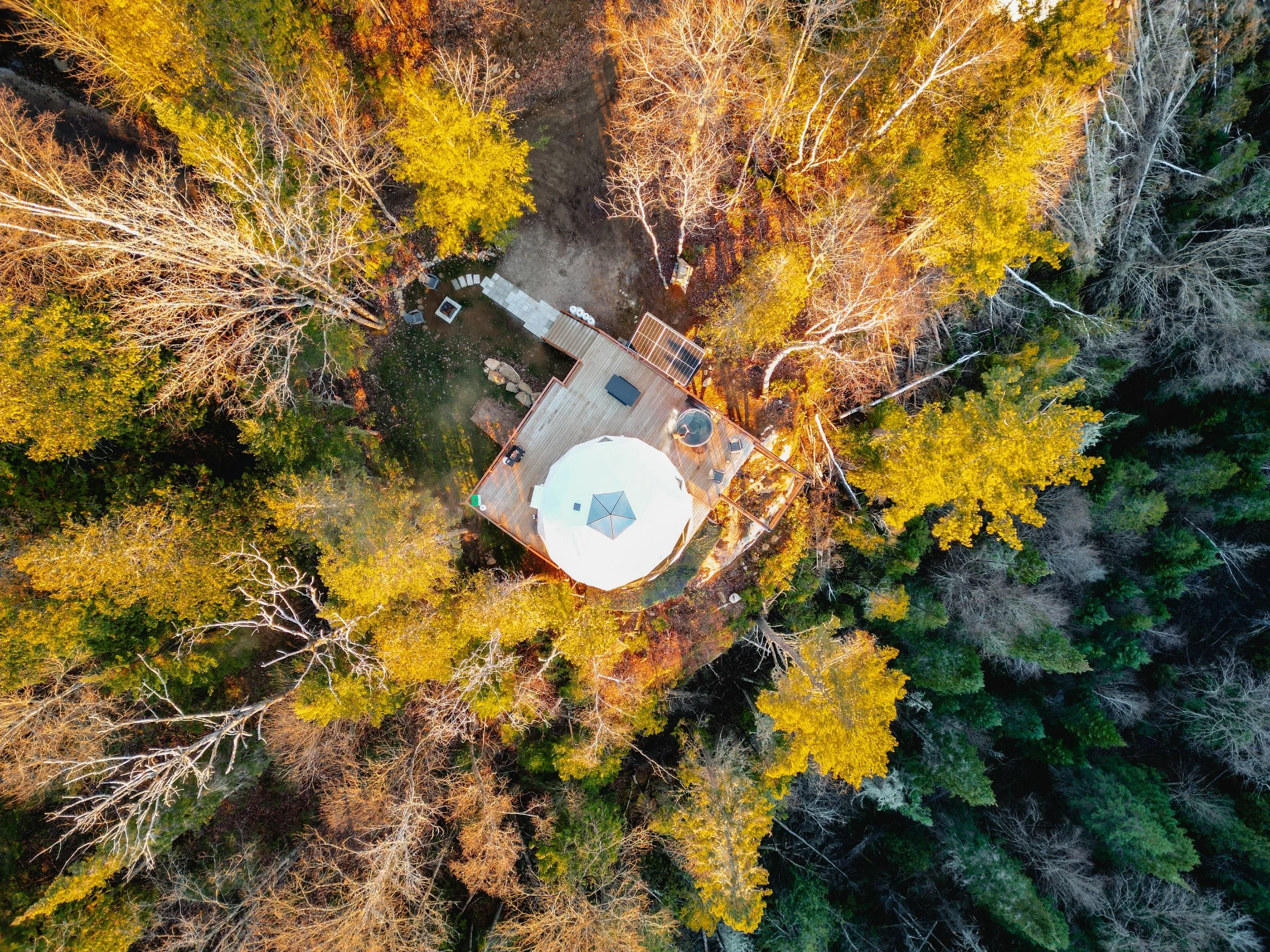 5 dômes dog-friendly à découvrir pour un séjour unique avec votre chien