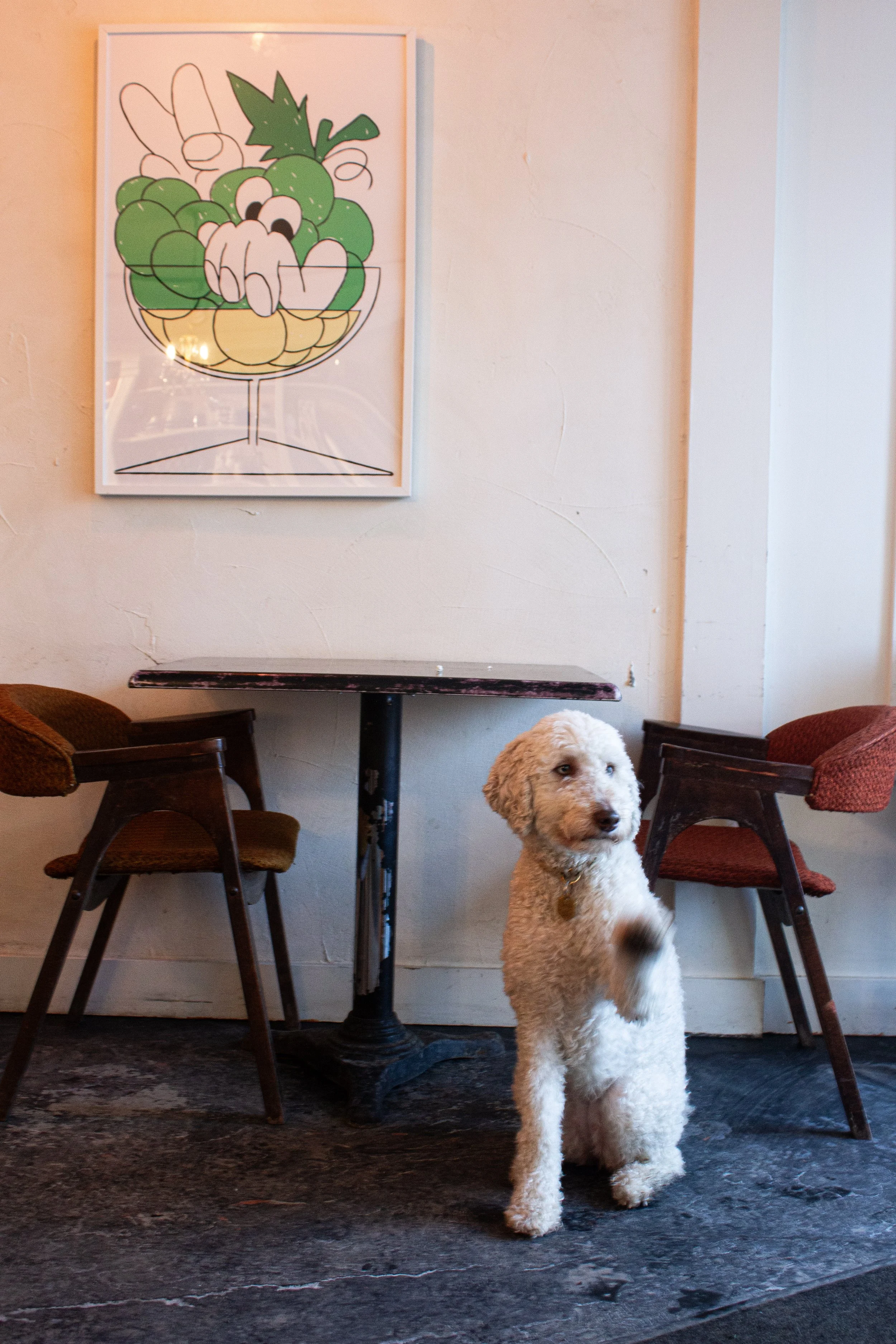 [Qc, Qébec] Oui oui café et buvette de quartier