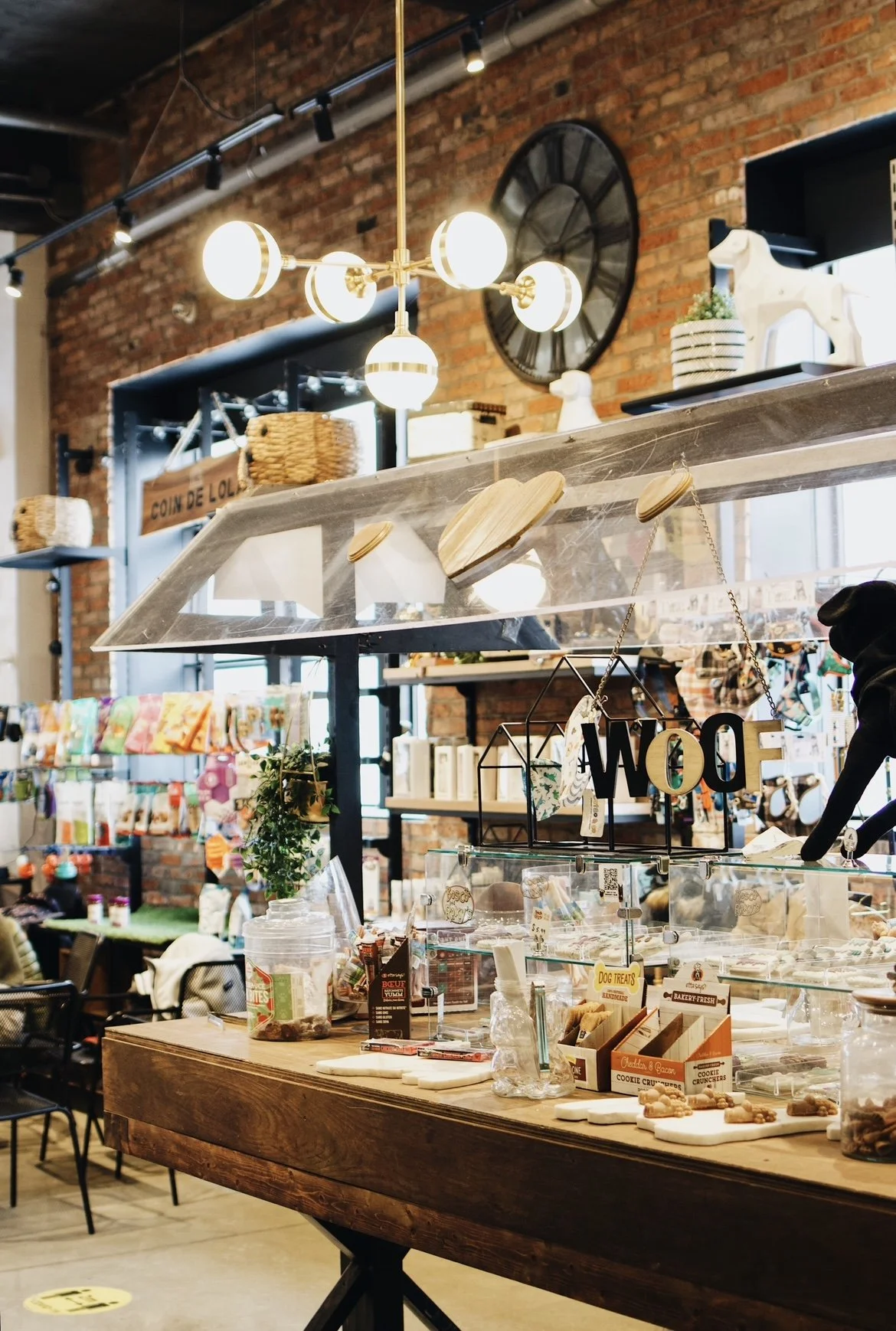 [Mtl, Pointe Saint-Charles] Doggieville 