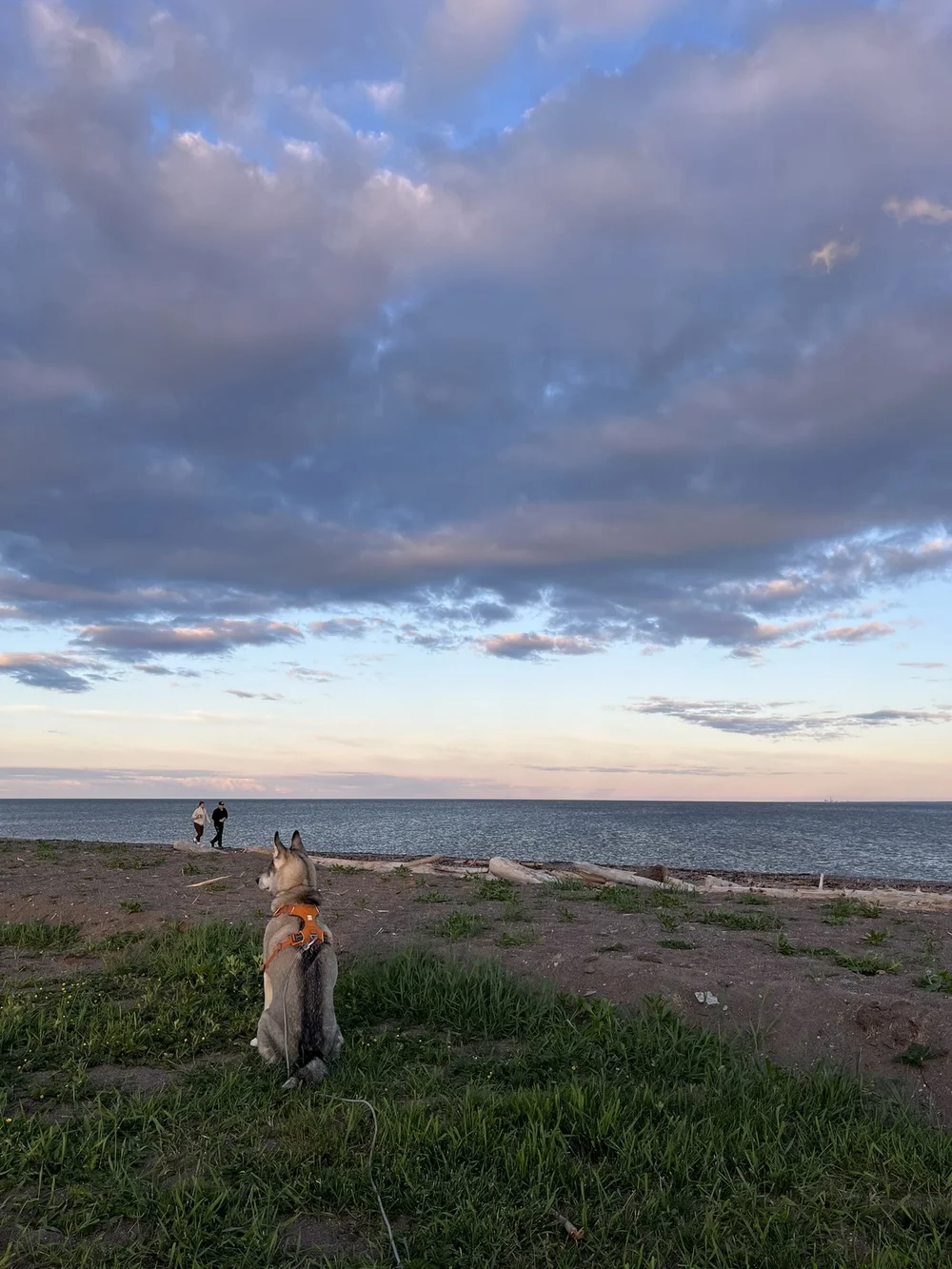 Camping Carleton-sur-Mer