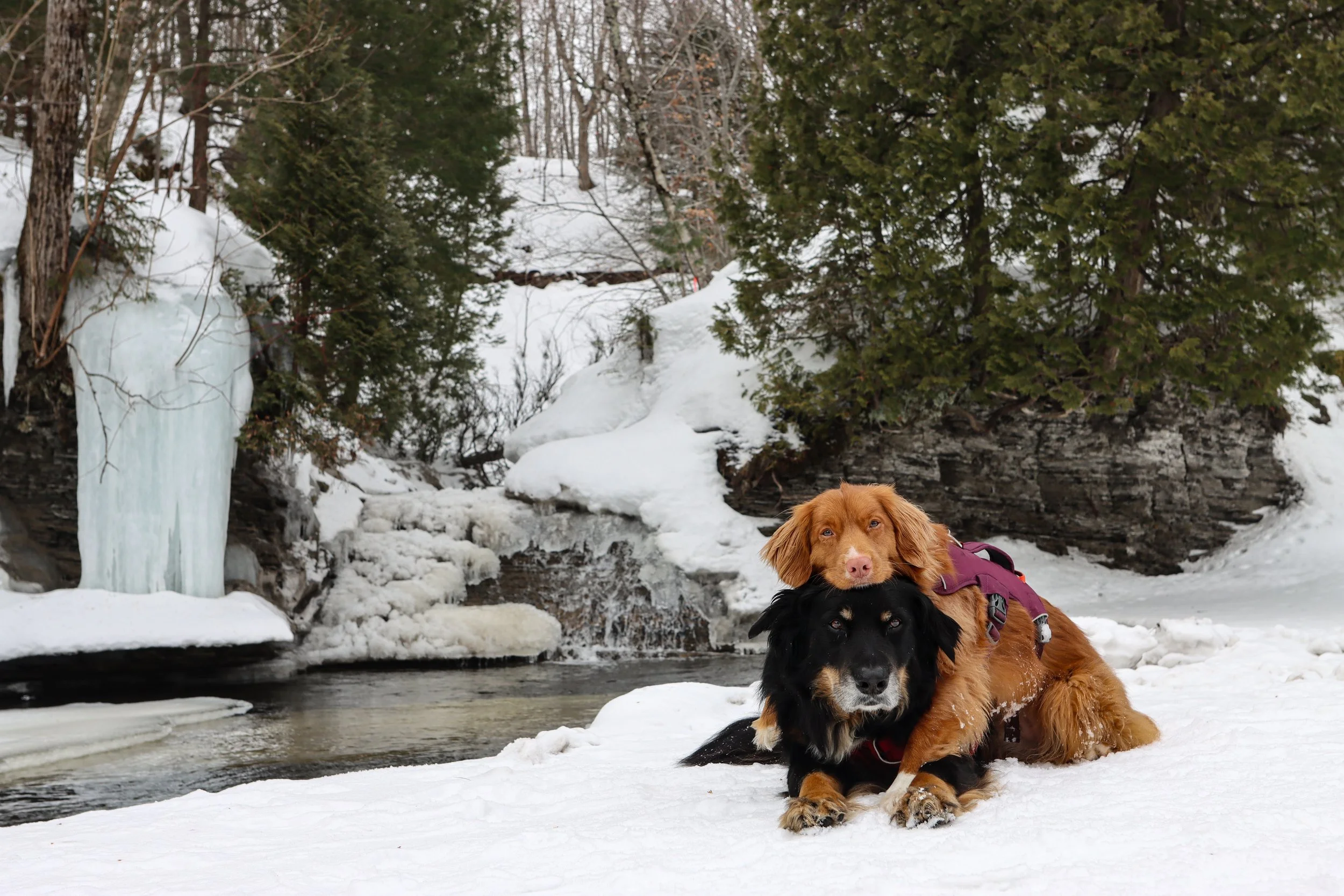 [Québec, Québec] Parc Chauveau
