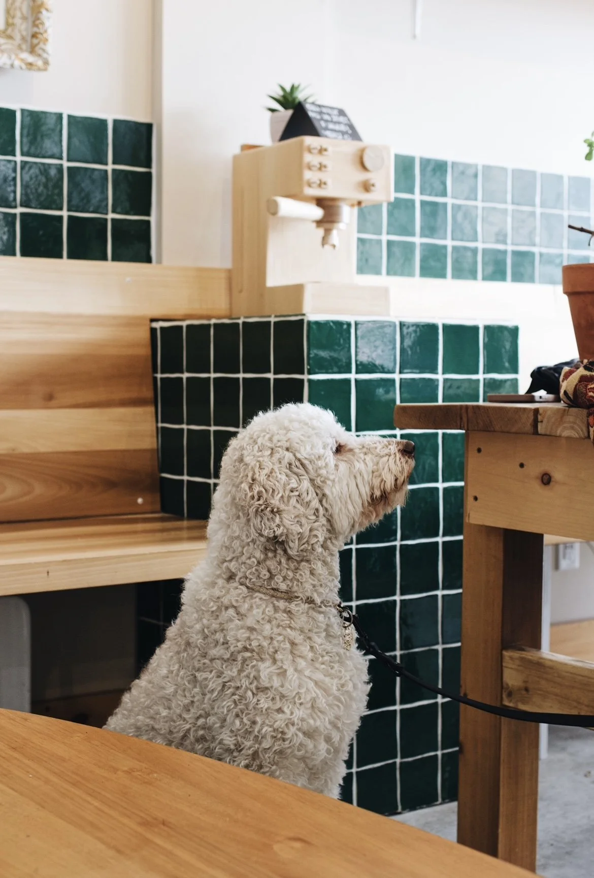 [Québec, Sainte-Anne-de-Beaupré] Café Apollo