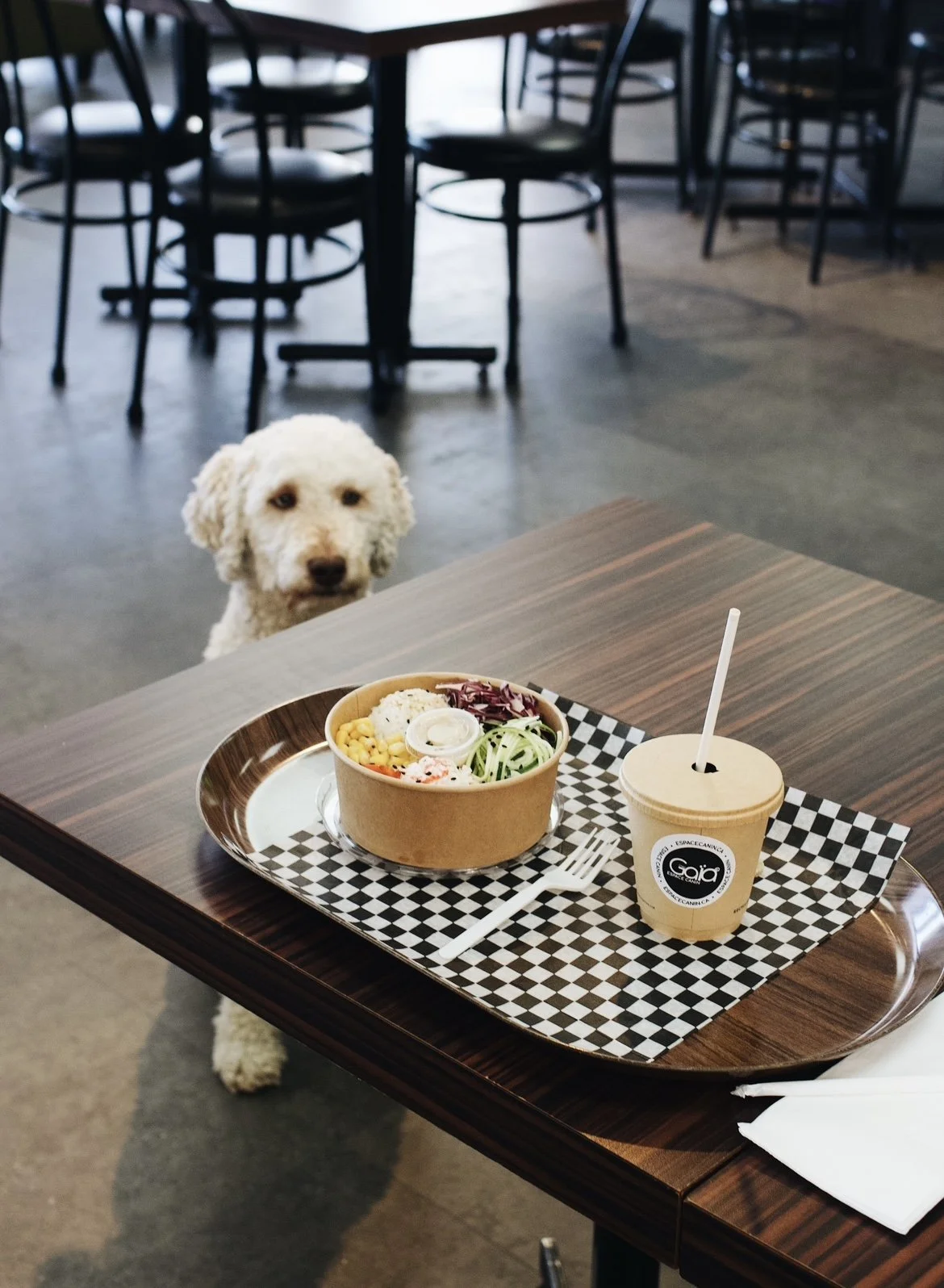 [Montérégie, Sorel] Chez Gaïa Espace Canin Inc.