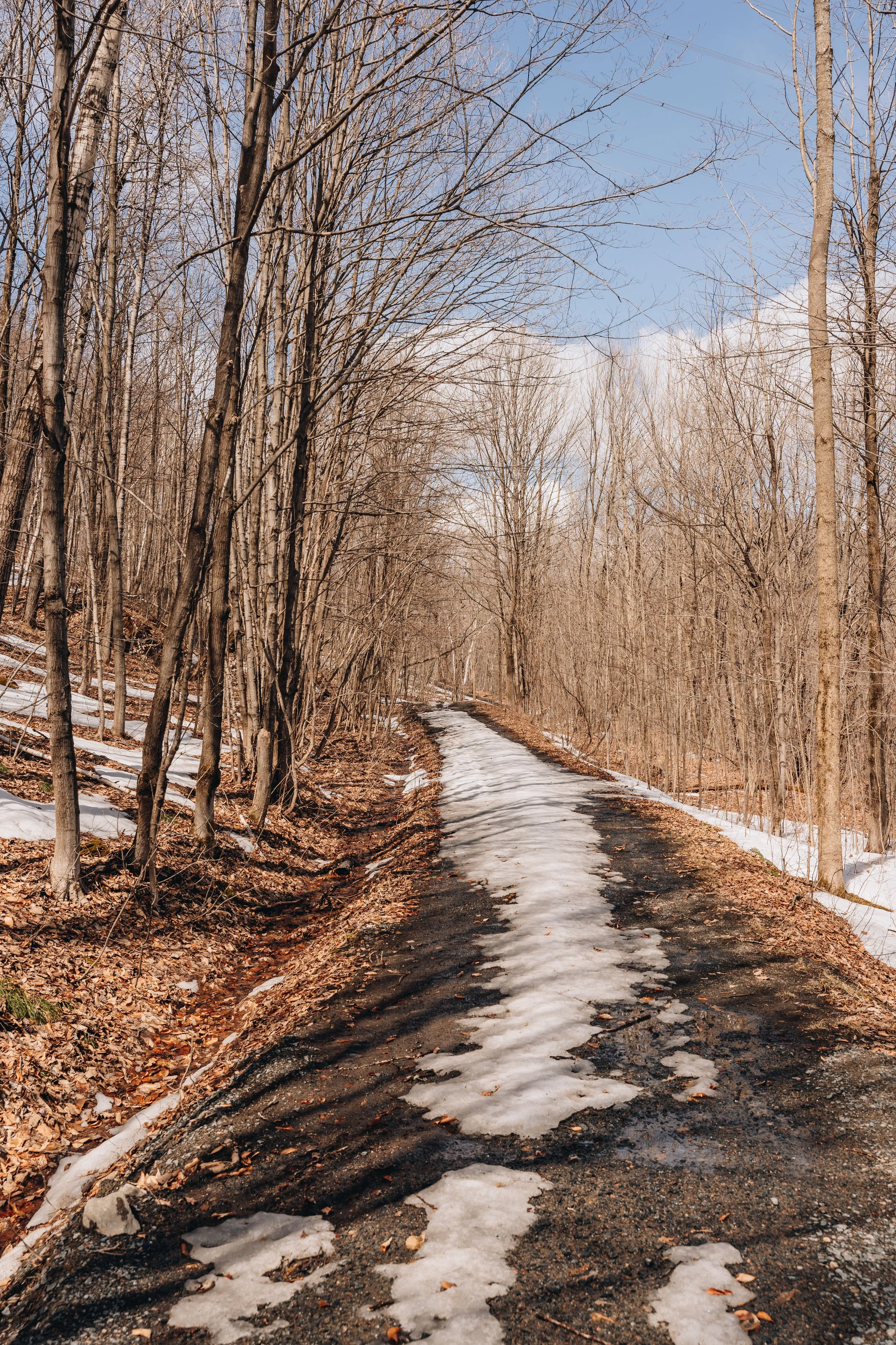 [Mauricie, Shawinigan] Sentier Thibaudeau-Ricard — On va se promener