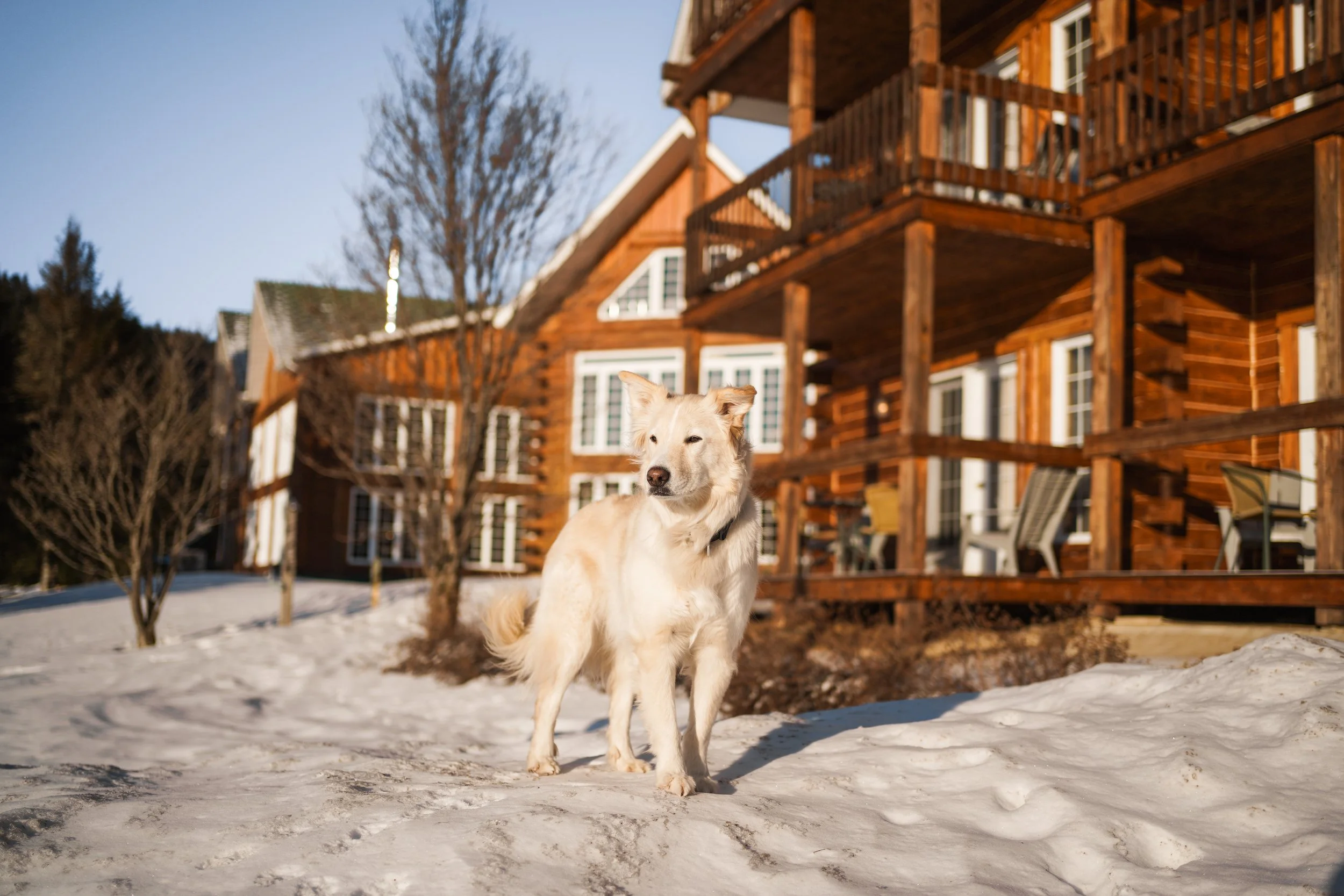 [Lanaudière, Saint-Émilie-de-l'Énergie] Auberge du Vieux Moulin