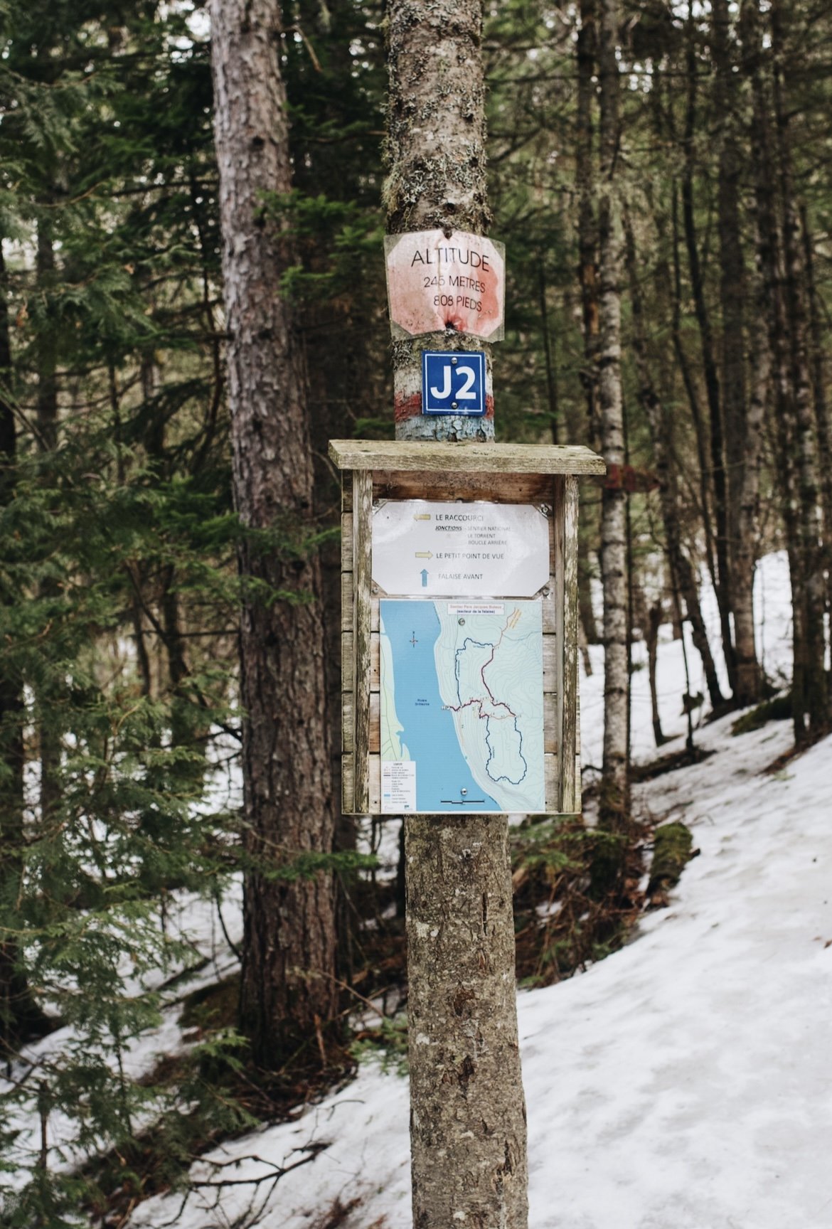 sentier jacques-buteux onvasepromener chien mauricie (2).jpeg