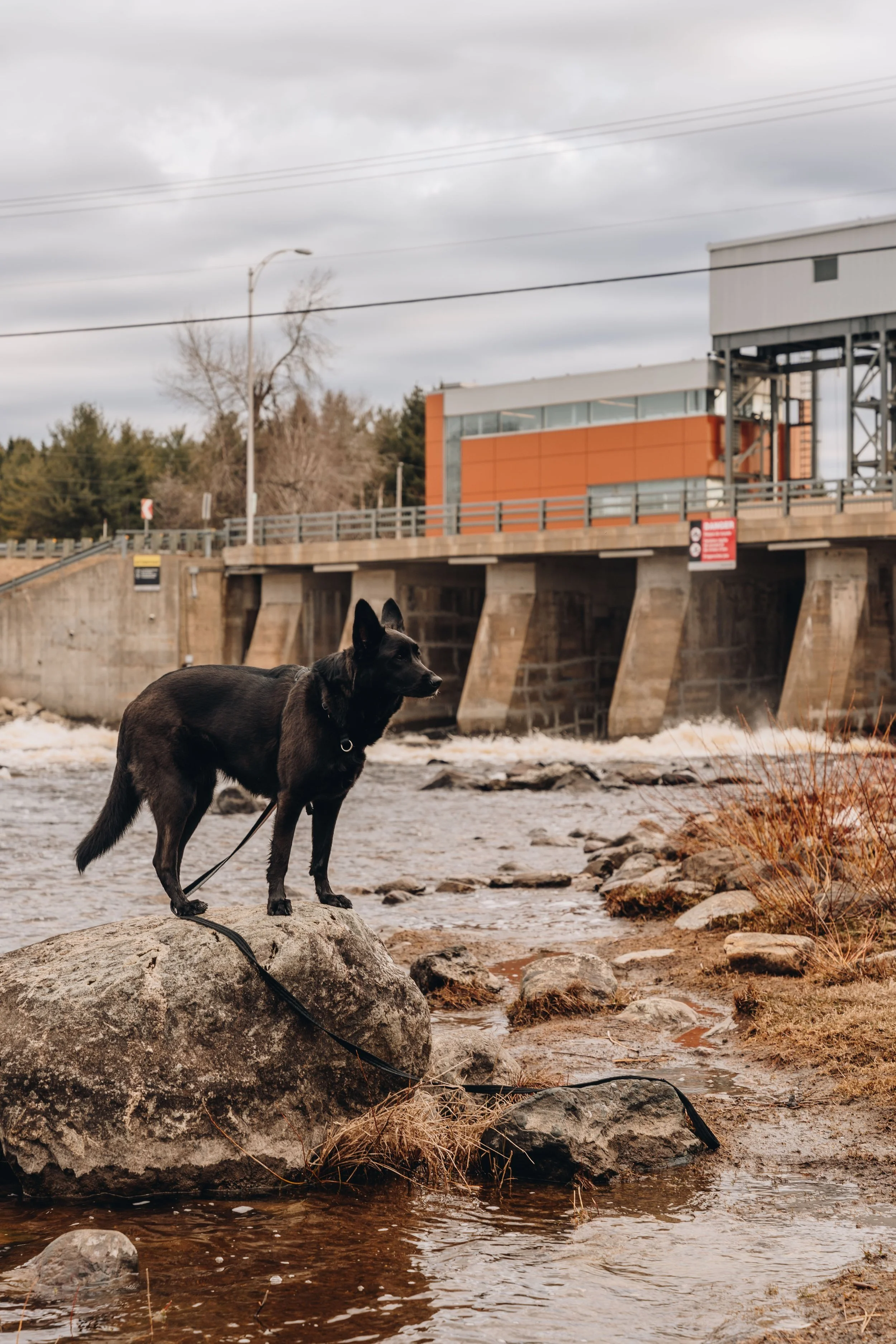 [Estrie, Weedon] Halte municipale de Saint-Gérard