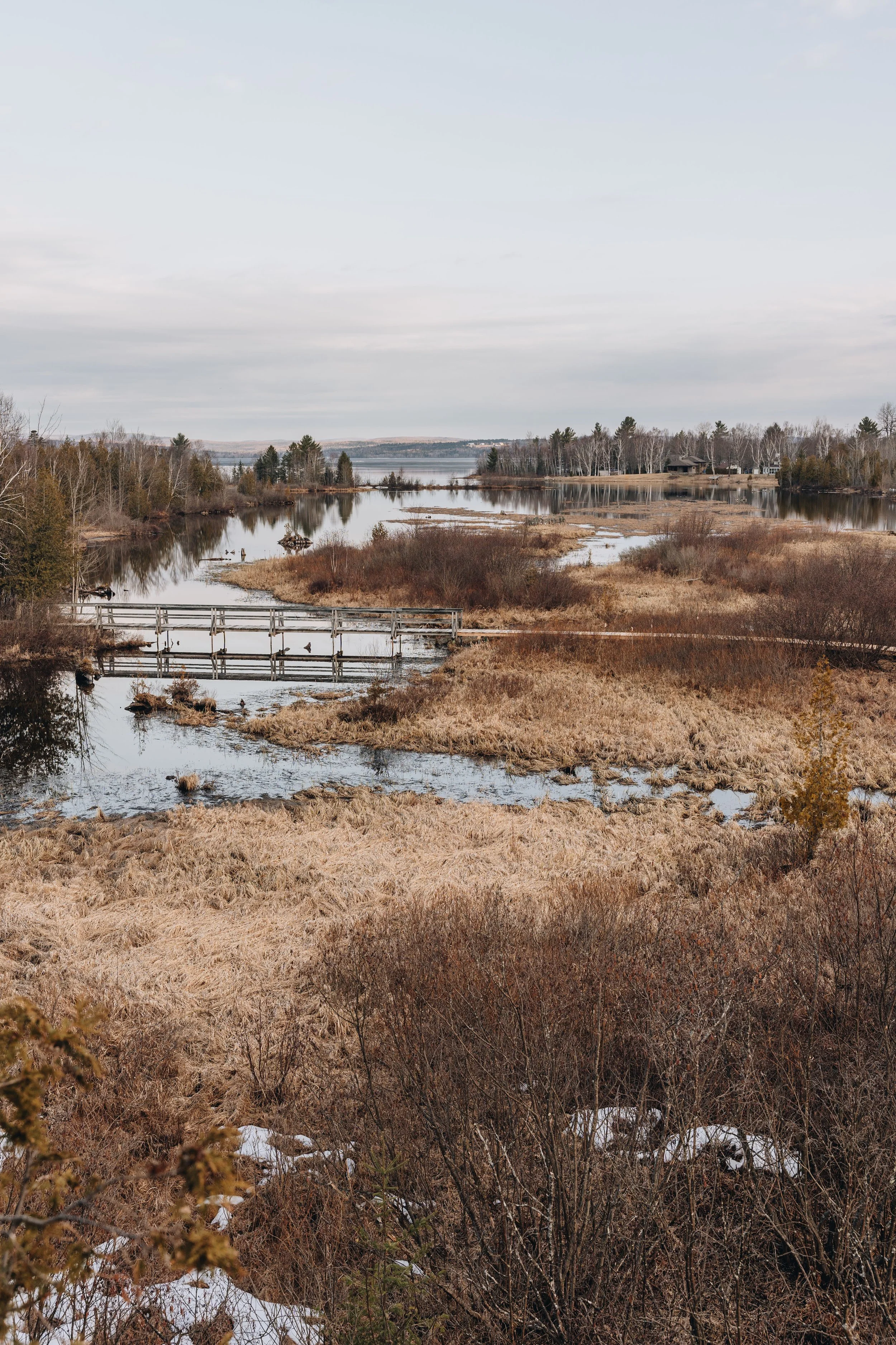 [Estrie, Stratford] Parc du Lac-Aylmer, Marais Maskinongé — On va se ...