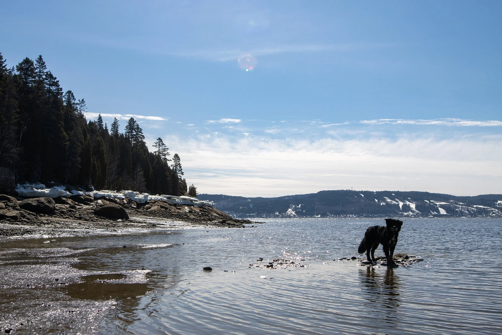 [Sag-Lac, La Baie] PLage de L'Anse-à-Benjamin