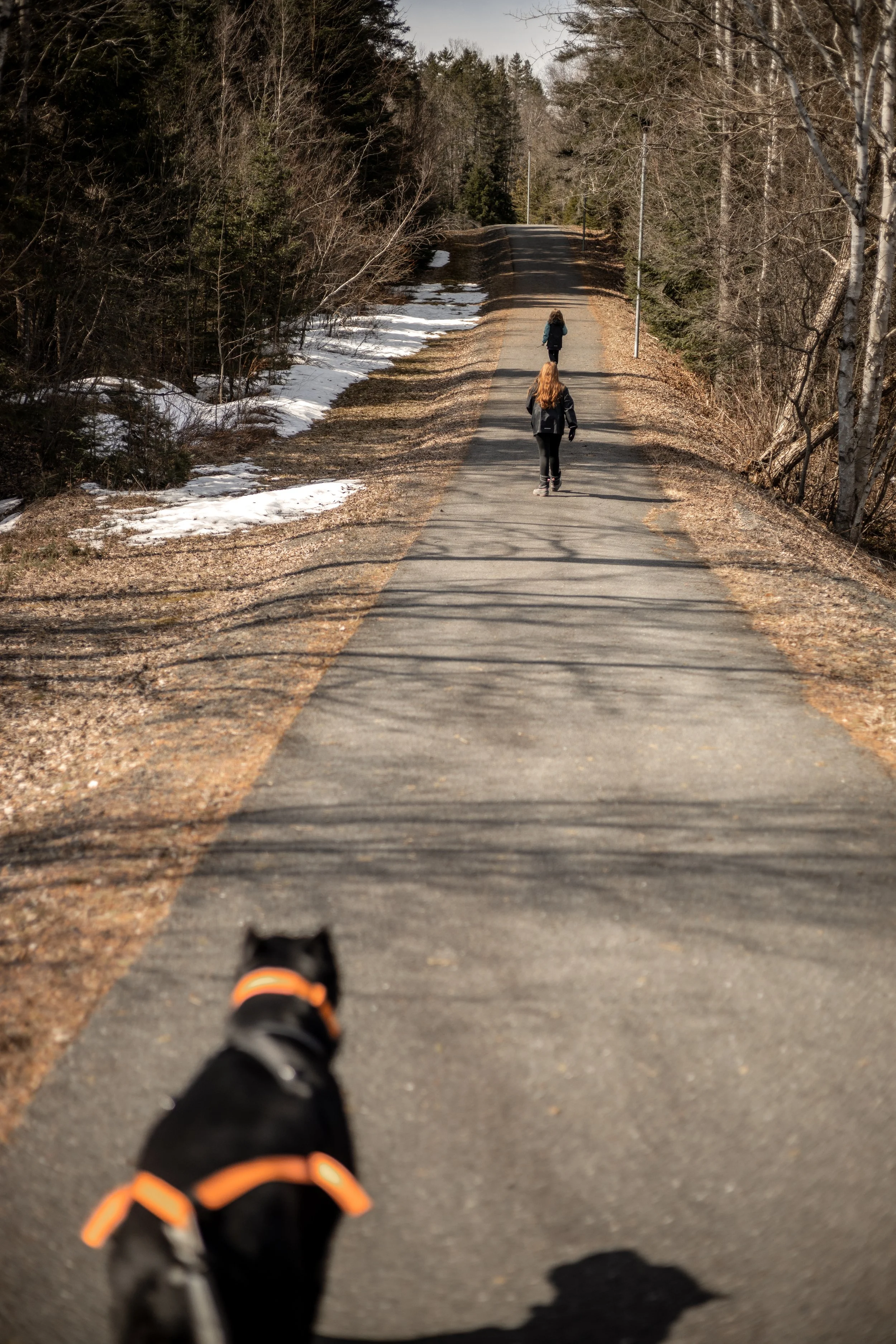 [Chaudière-Appalaches, Saint-Benoit-Lâbre] Sentier vélo-pédestre Saint ...