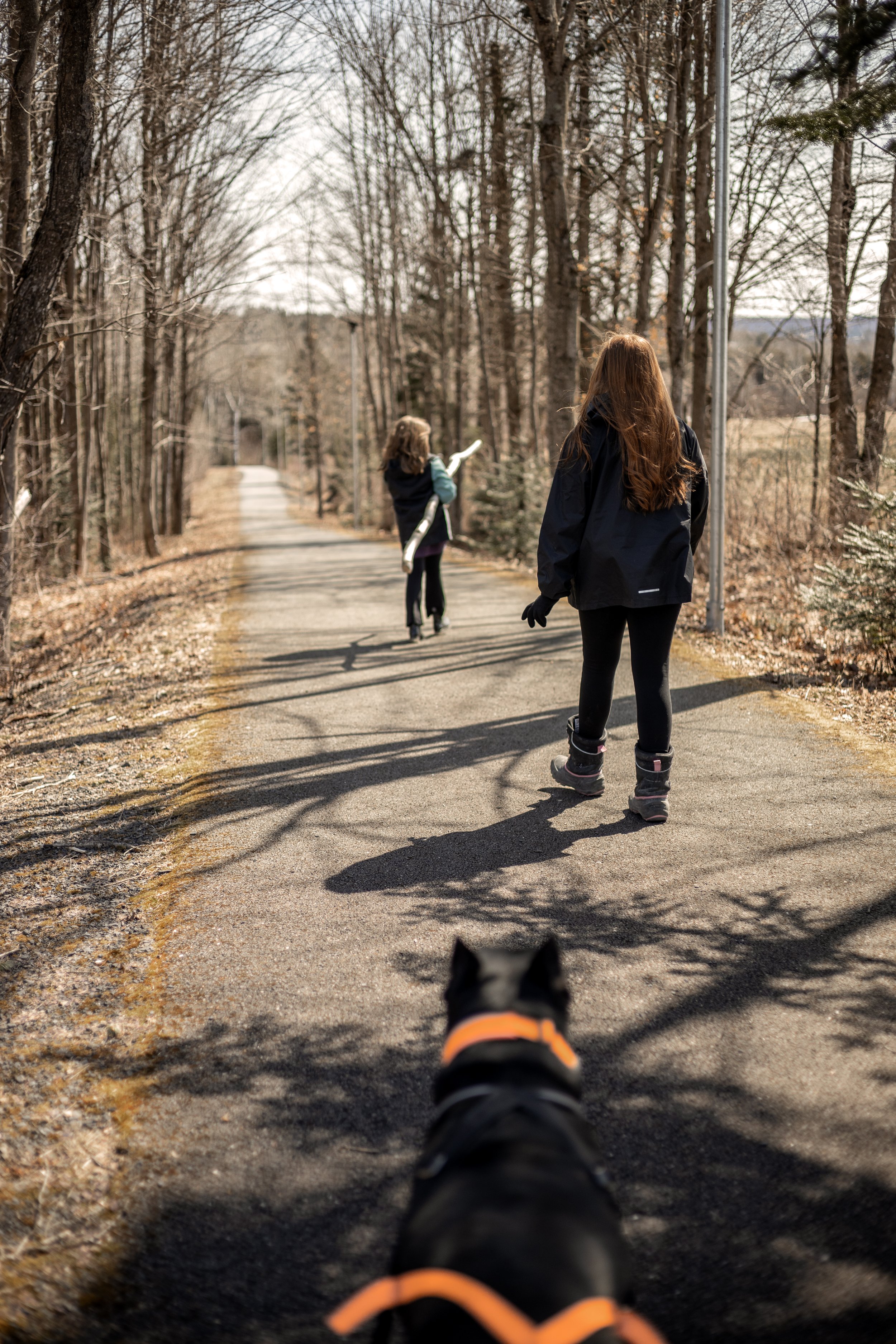 [Chaudière-Appalaches, Saint-Benoit-Lâbre] Sentier vélo-pédestre Saint ...