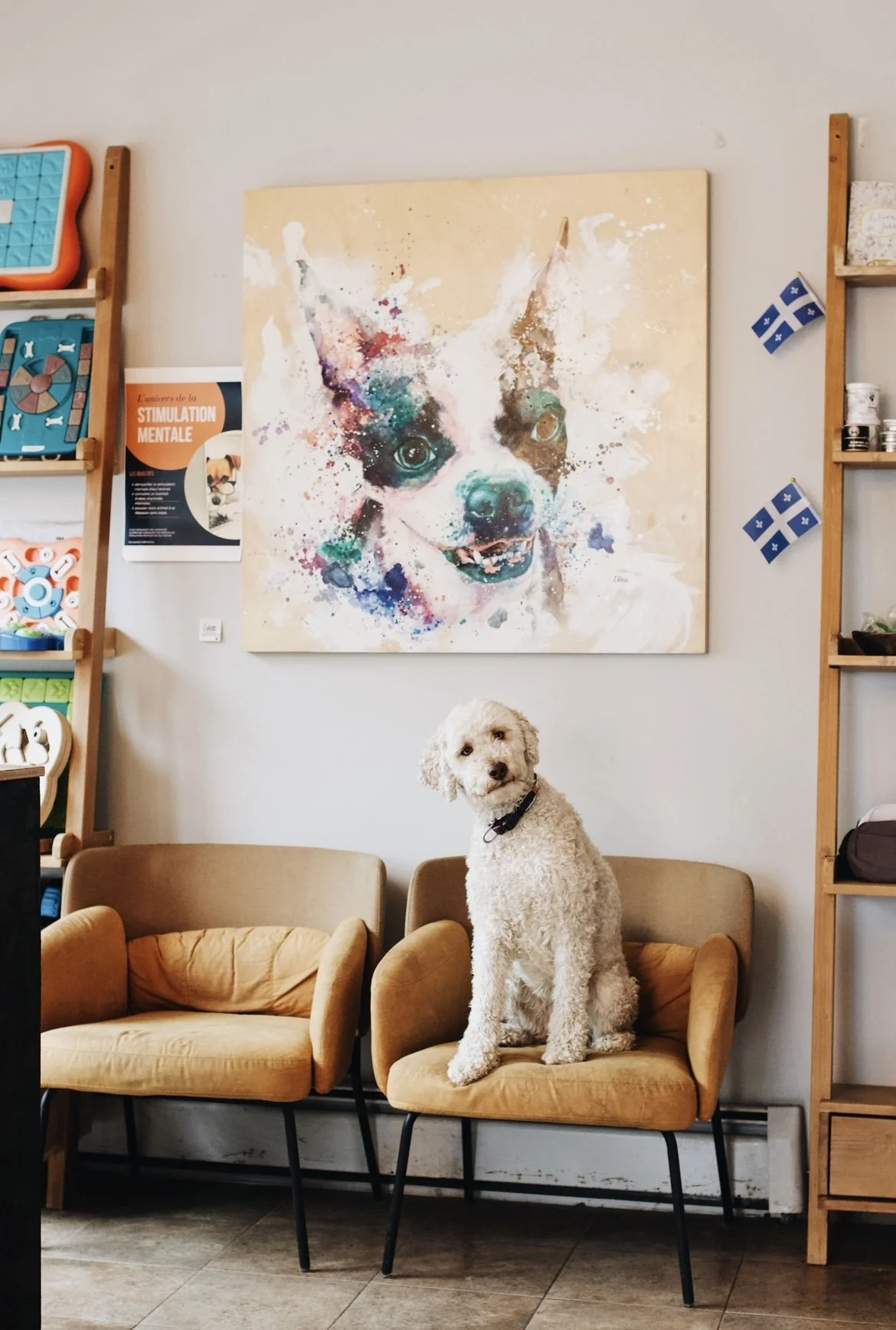 [Centre-du-Québec, Victoriaville] Chez Emma, espace canin