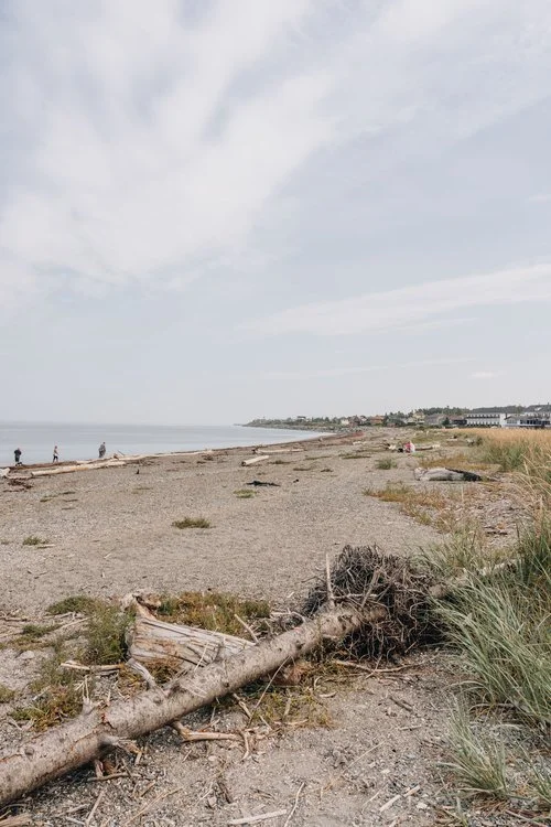 Escale à Matane avec ton chien : sentiers et crevettes — On va se promener?