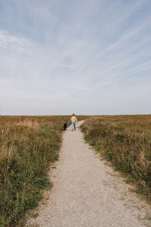 Escale à Matane avec ton chien : sentiers et crevettes