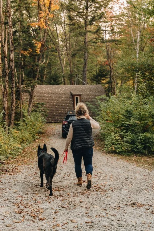 massif_du_sud_pod_chien_onvasepromener_hébergement+(92).jpg