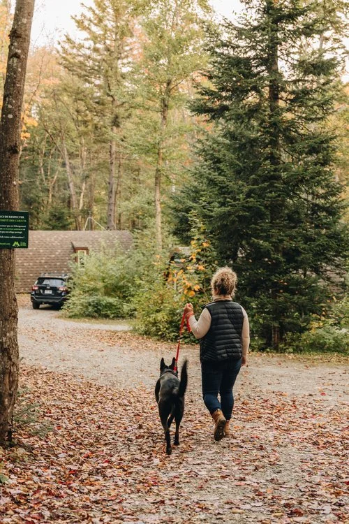 massif_du_sud_pod_chien_onvasepromener_hébergement+(93).jpg