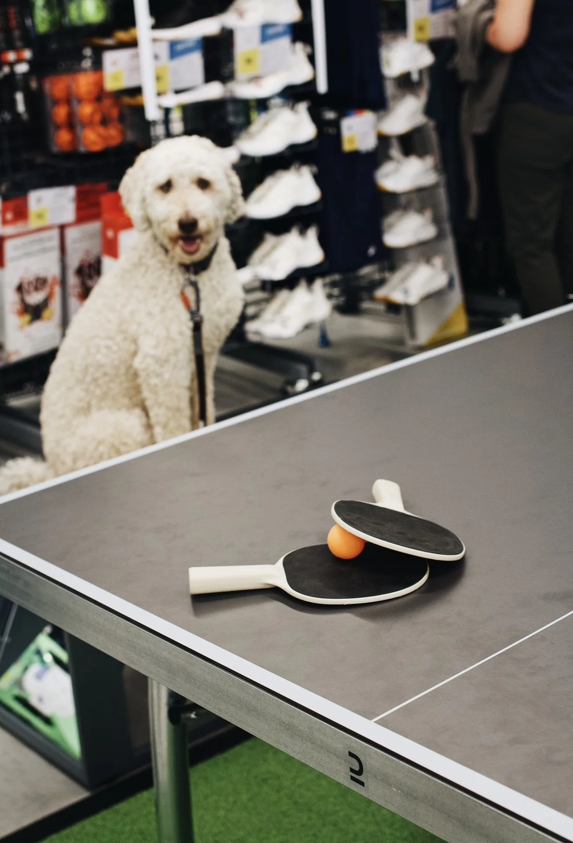 decathlon_trois-rivieres onvasepromener (10).jpeg