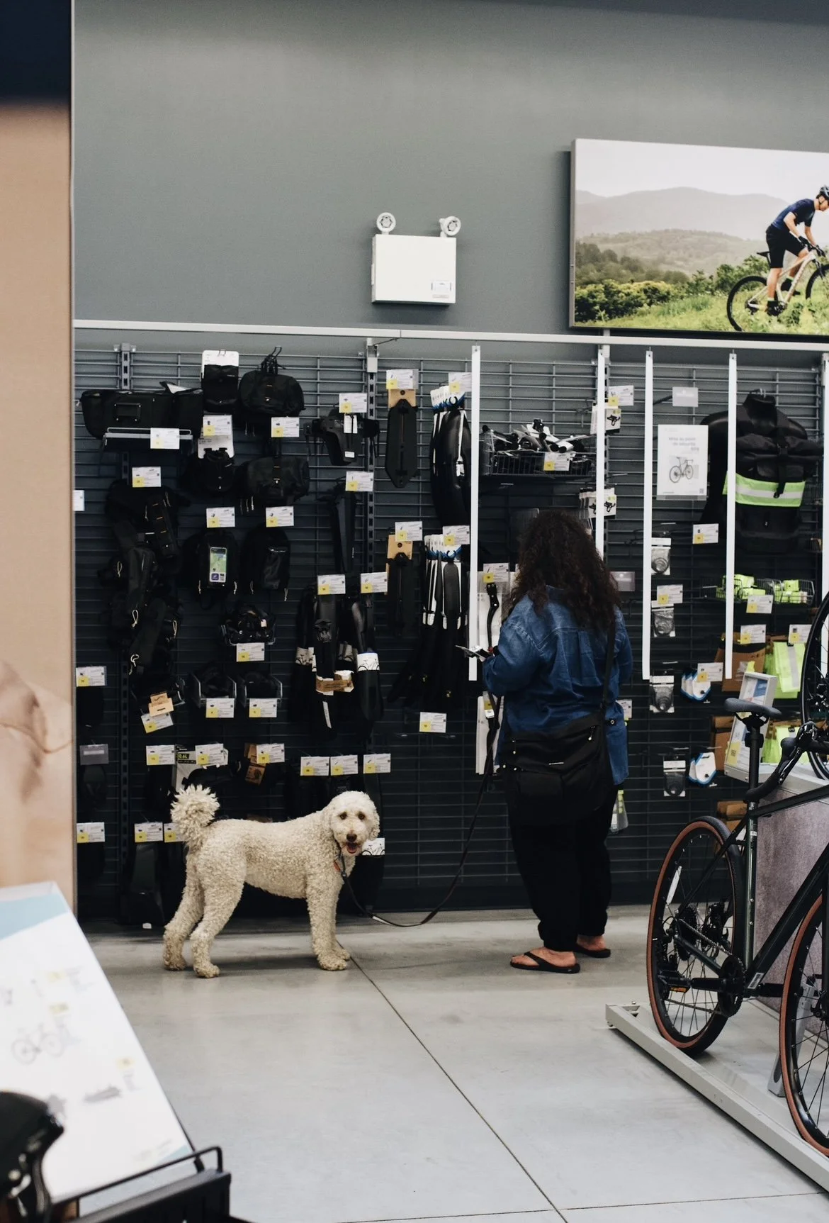 decathlon_trois-rivieres onvasepromener (2).jpeg
