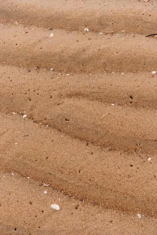 plage+pointe+a+emile+chien+onvasepromener+(15).jpg