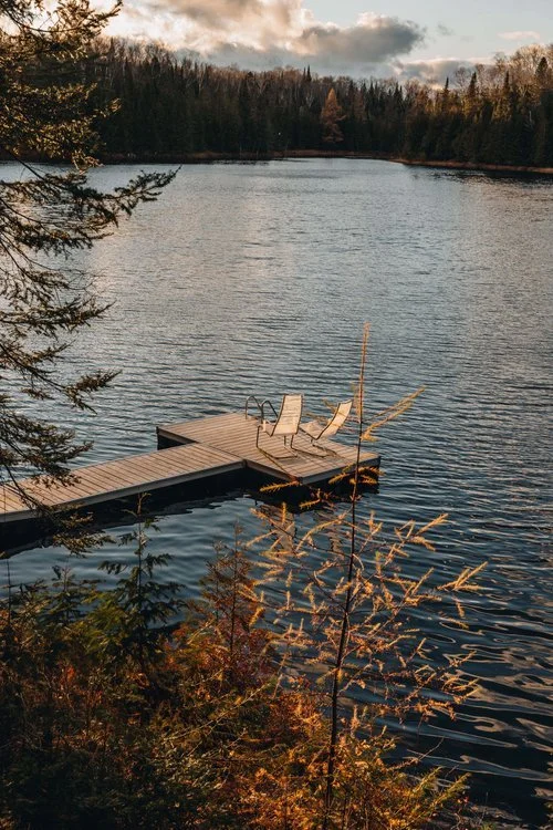 lièvre+rouge+chalet+onvasepromener+chien+laurentides+(129).jpg
